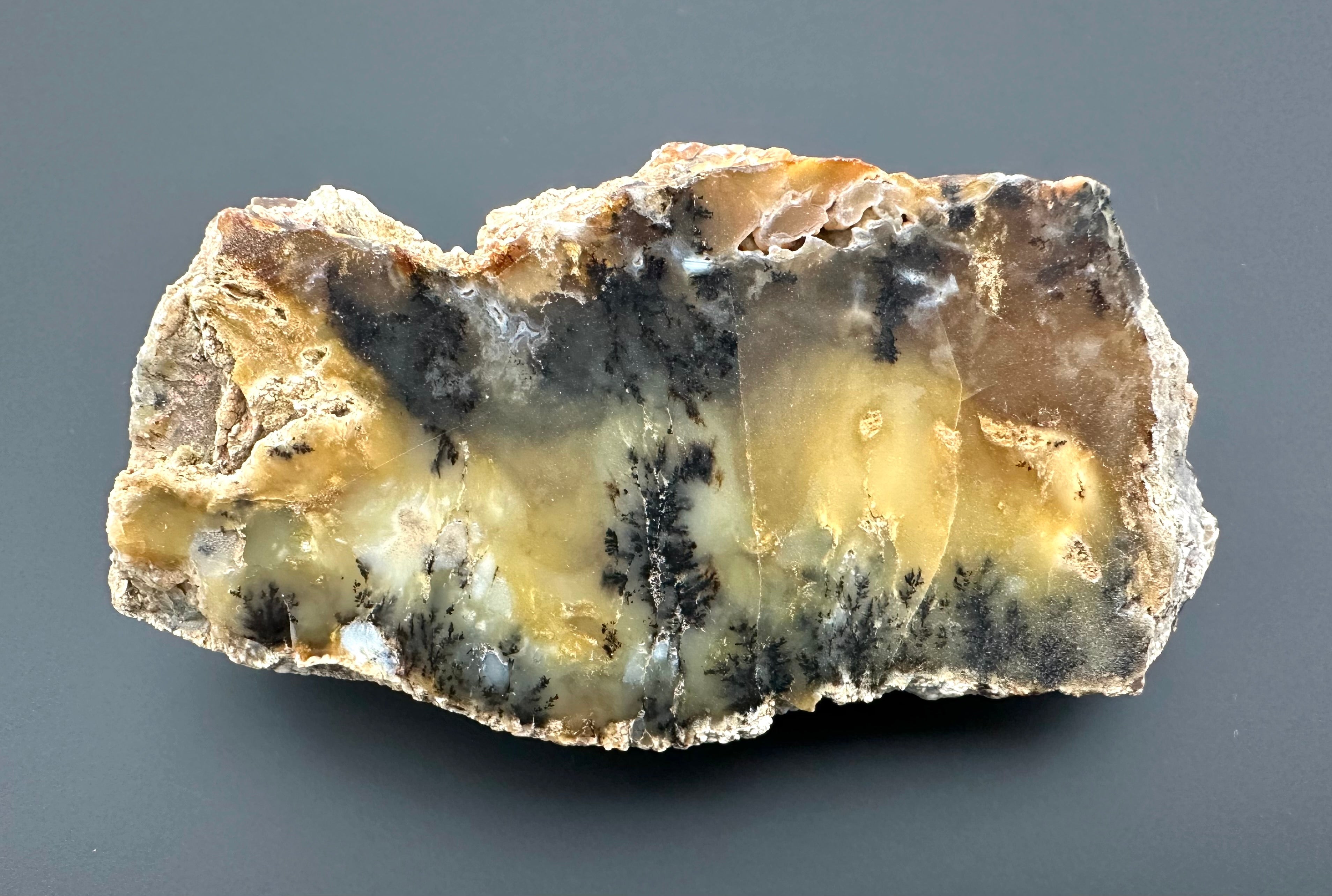 Opal – Bohouskovice, CZ