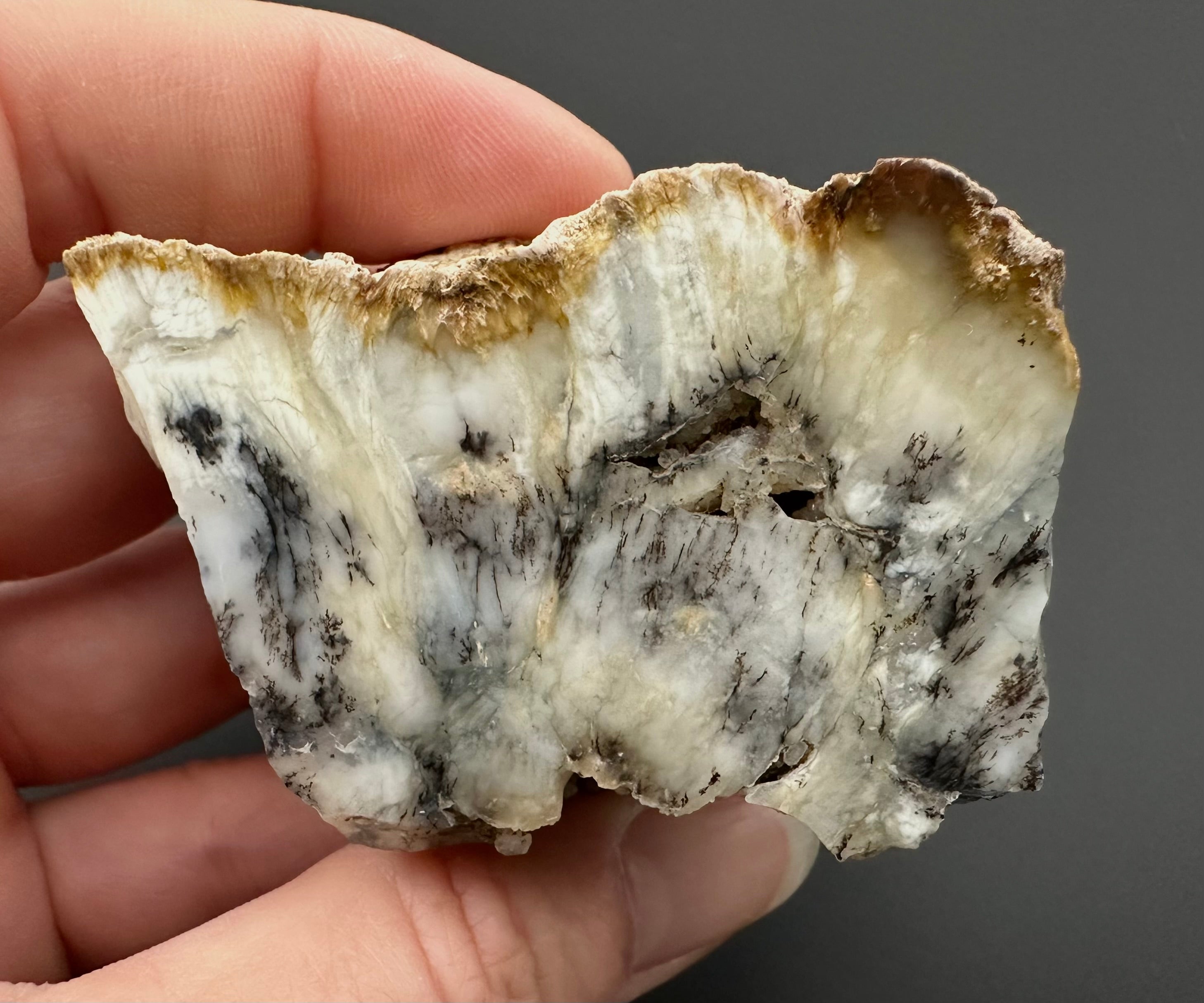 Opal – Bohouskovice, CZ - OPL014