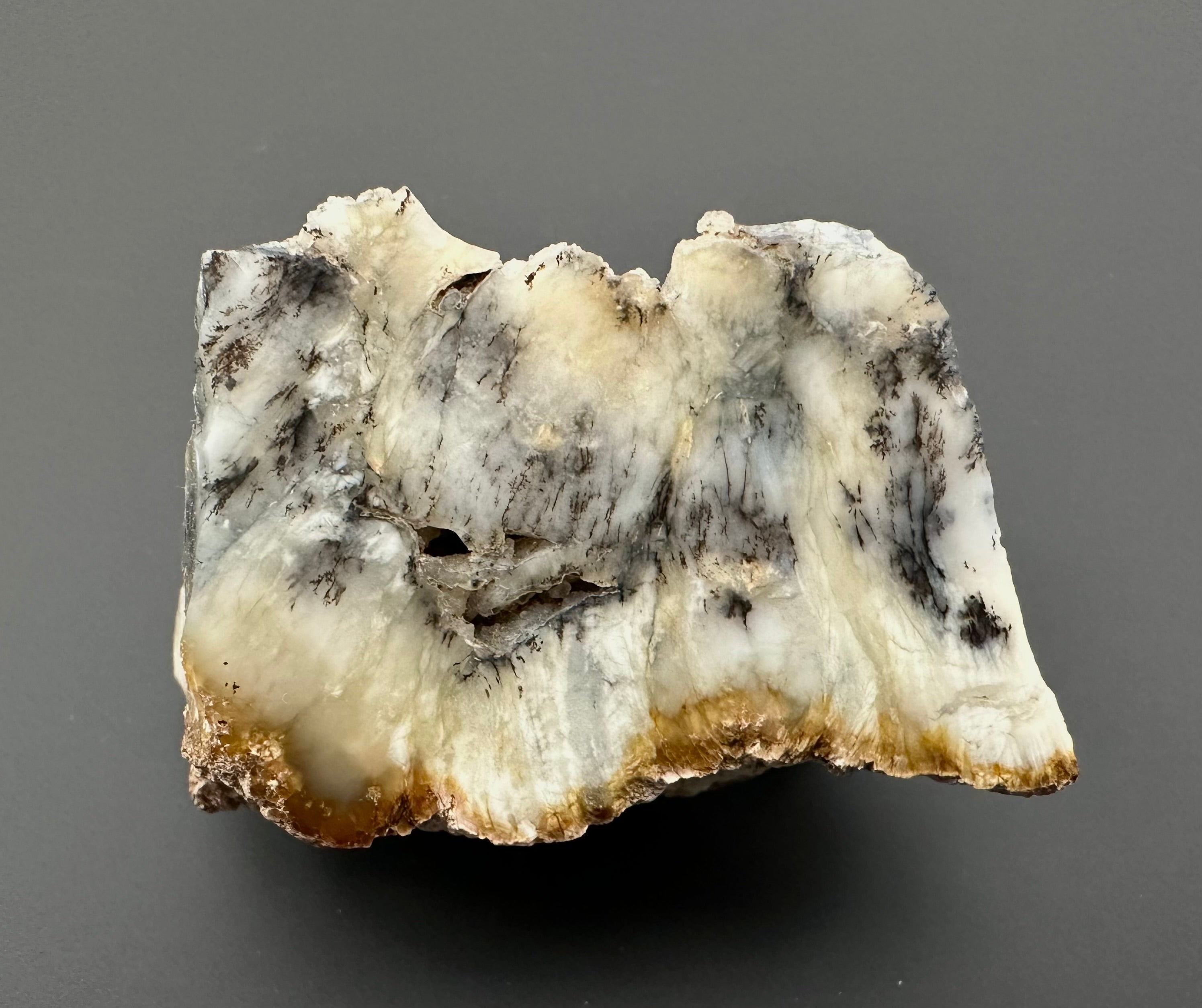 Opal – Bohouskovice, CZ