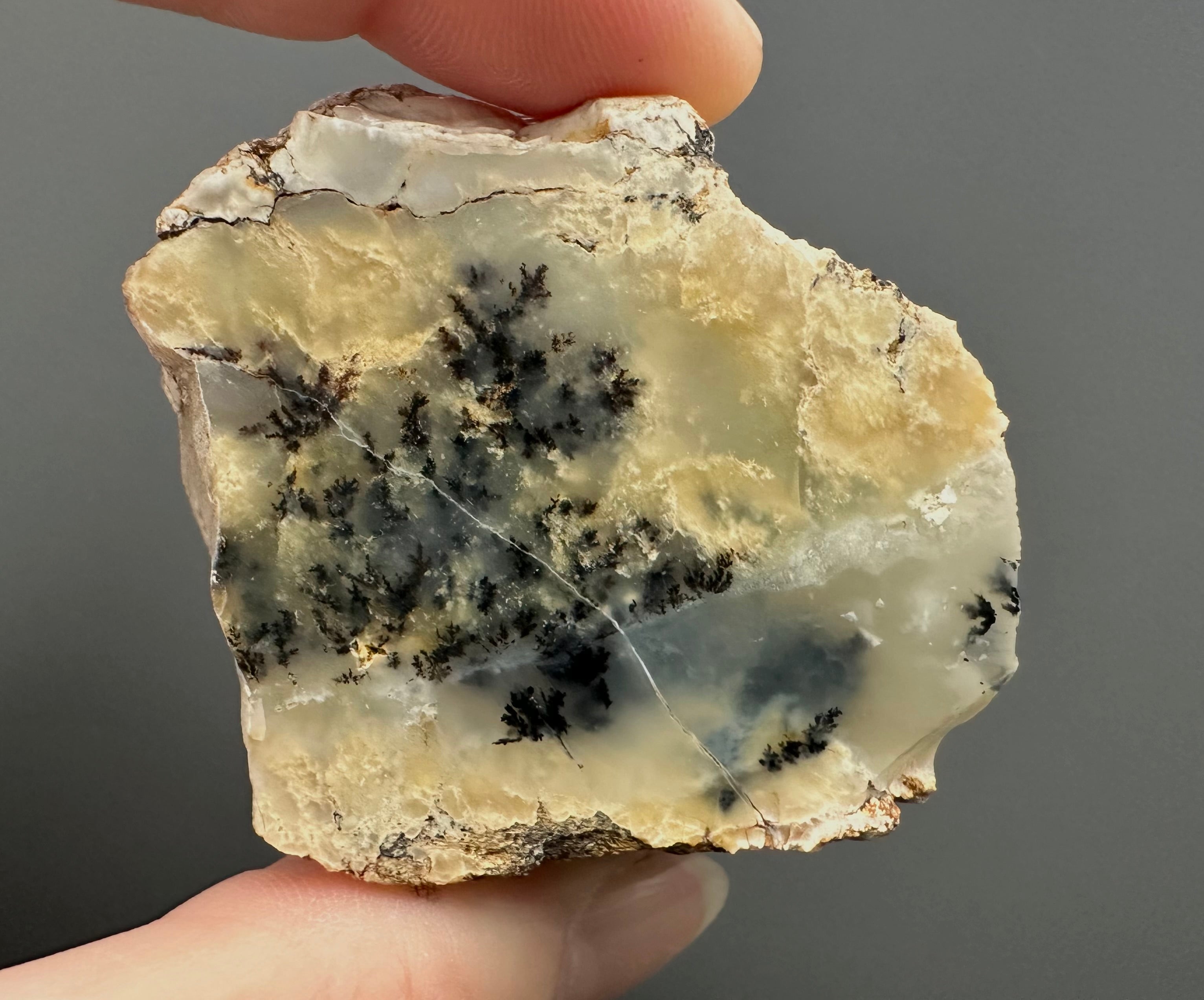 Opal – Bohouskovice, CZ - OPL016