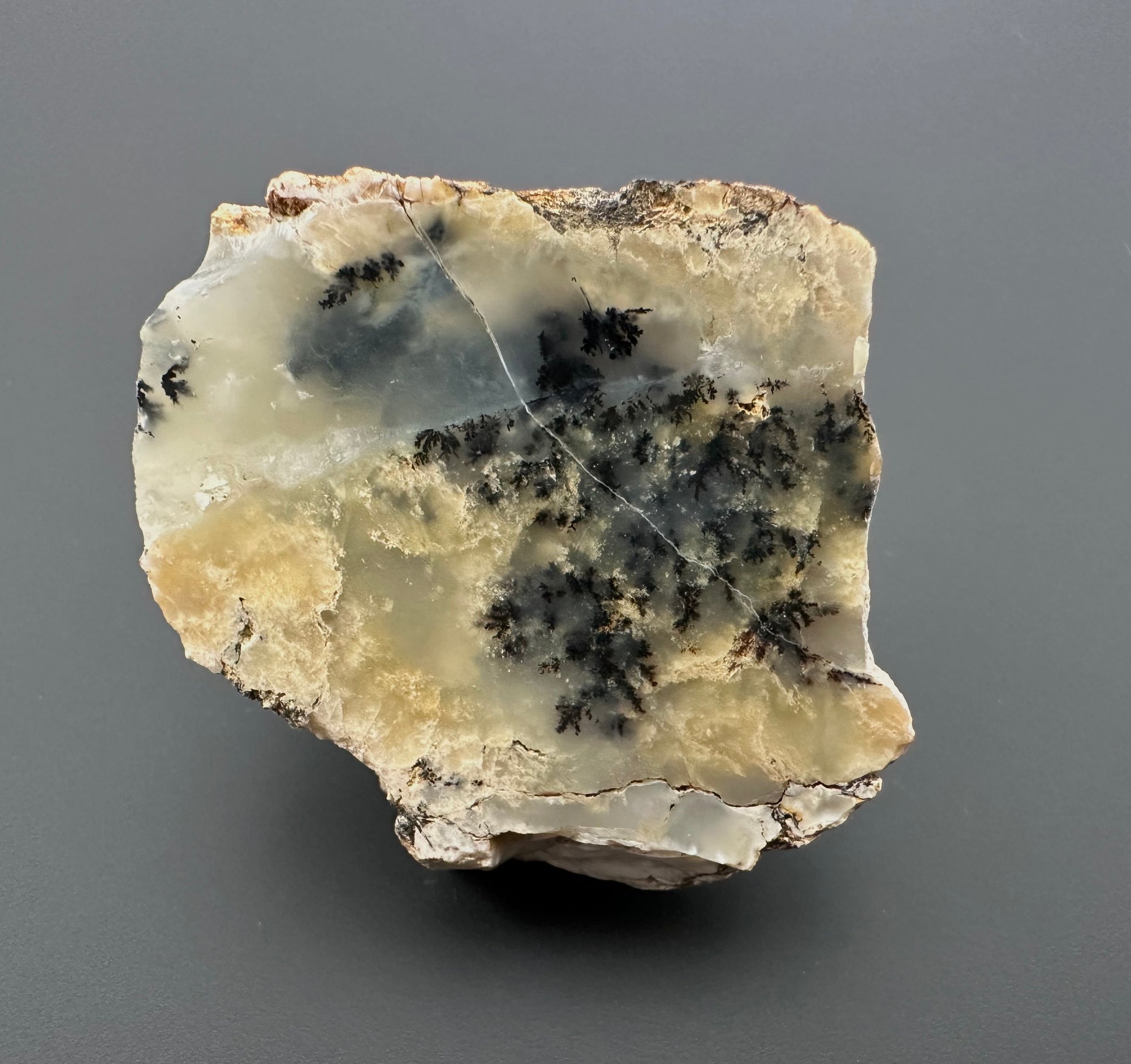 Opal – Bohouskovice, CZ