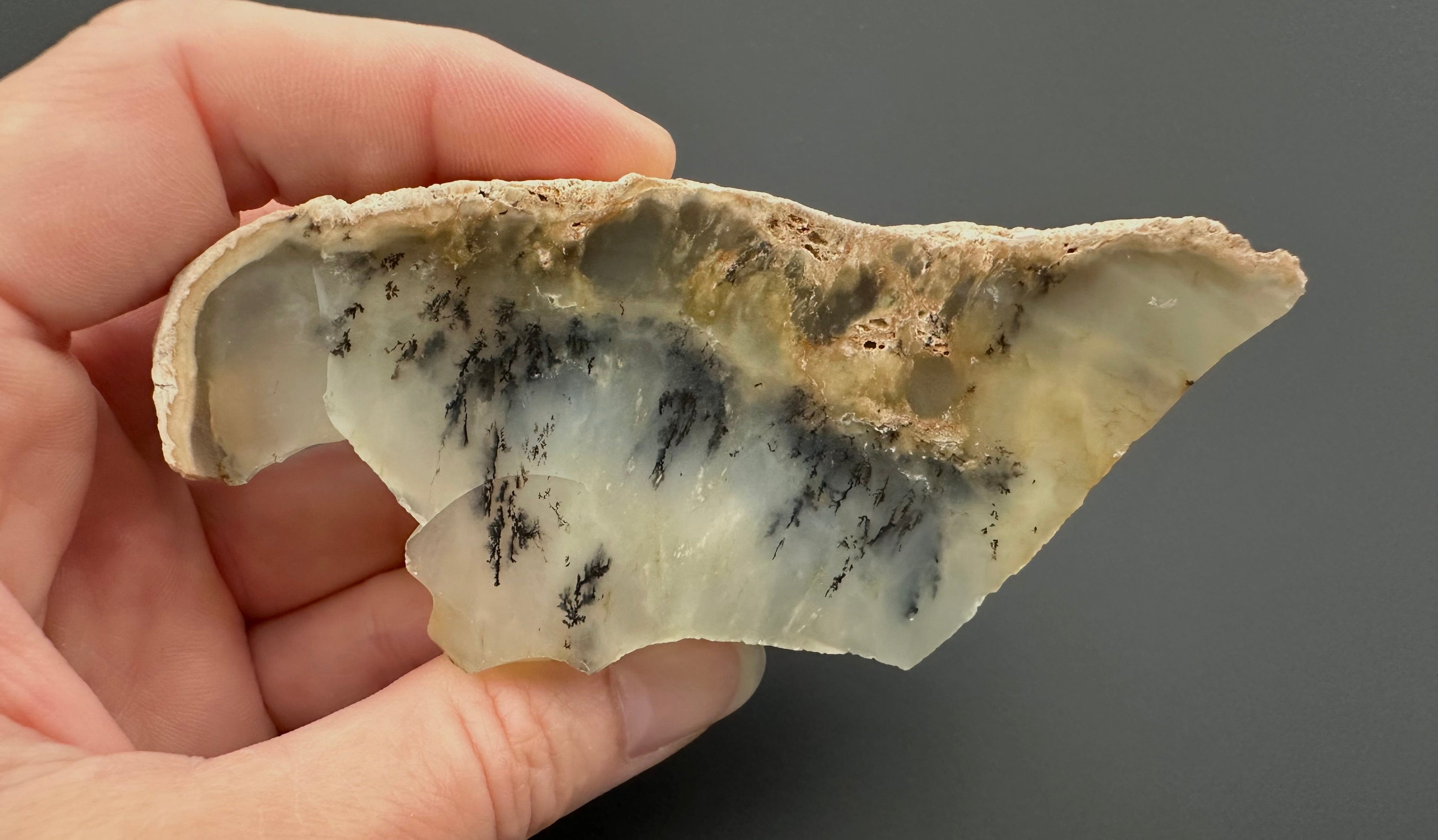 Opal – Bohouskovice, CZ - OPL017
