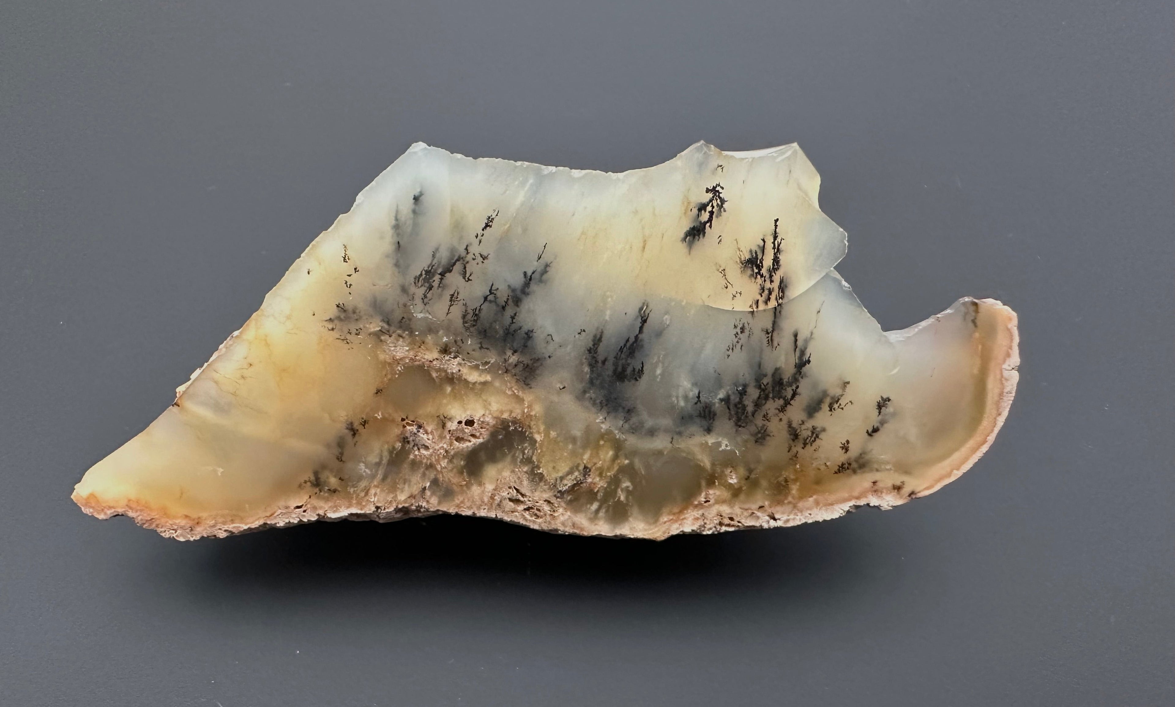 Opal – Bohouskovice, CZ