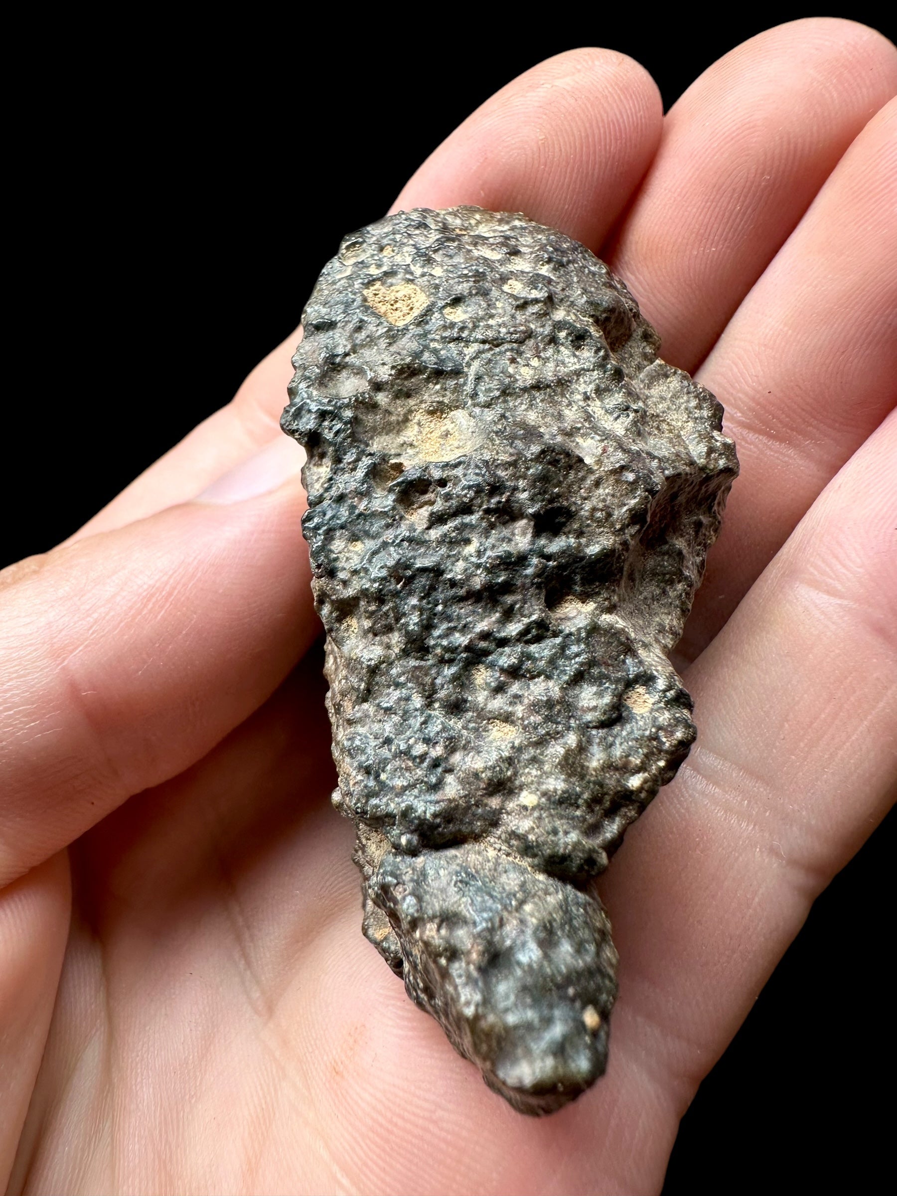 Meteorite Bechar 008, Howardite 75,7g – Algeria - MEBE01