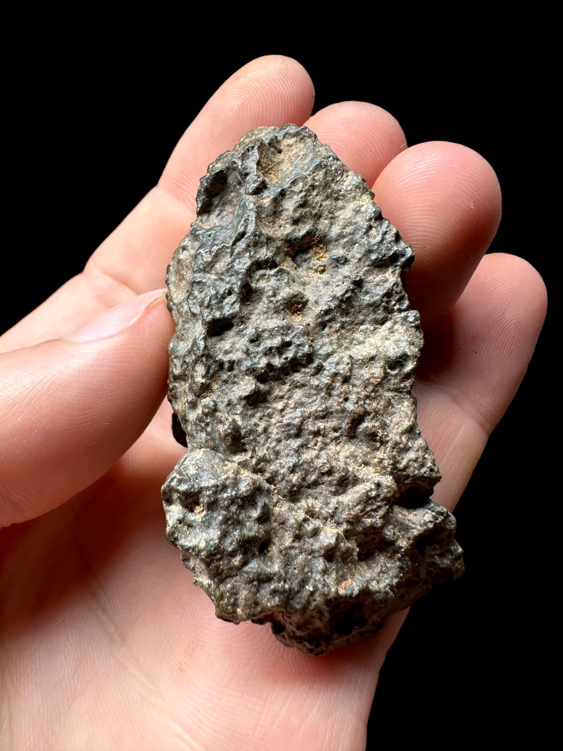 Meteorite Bechar 008, Howardite 75,7g – Algeria