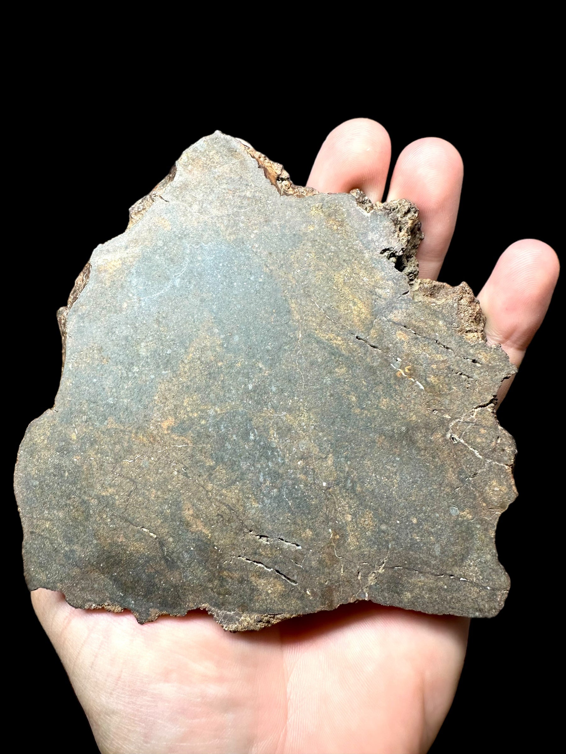 Meteorite NWA X 343,8g – Northwest Africa - MENX20