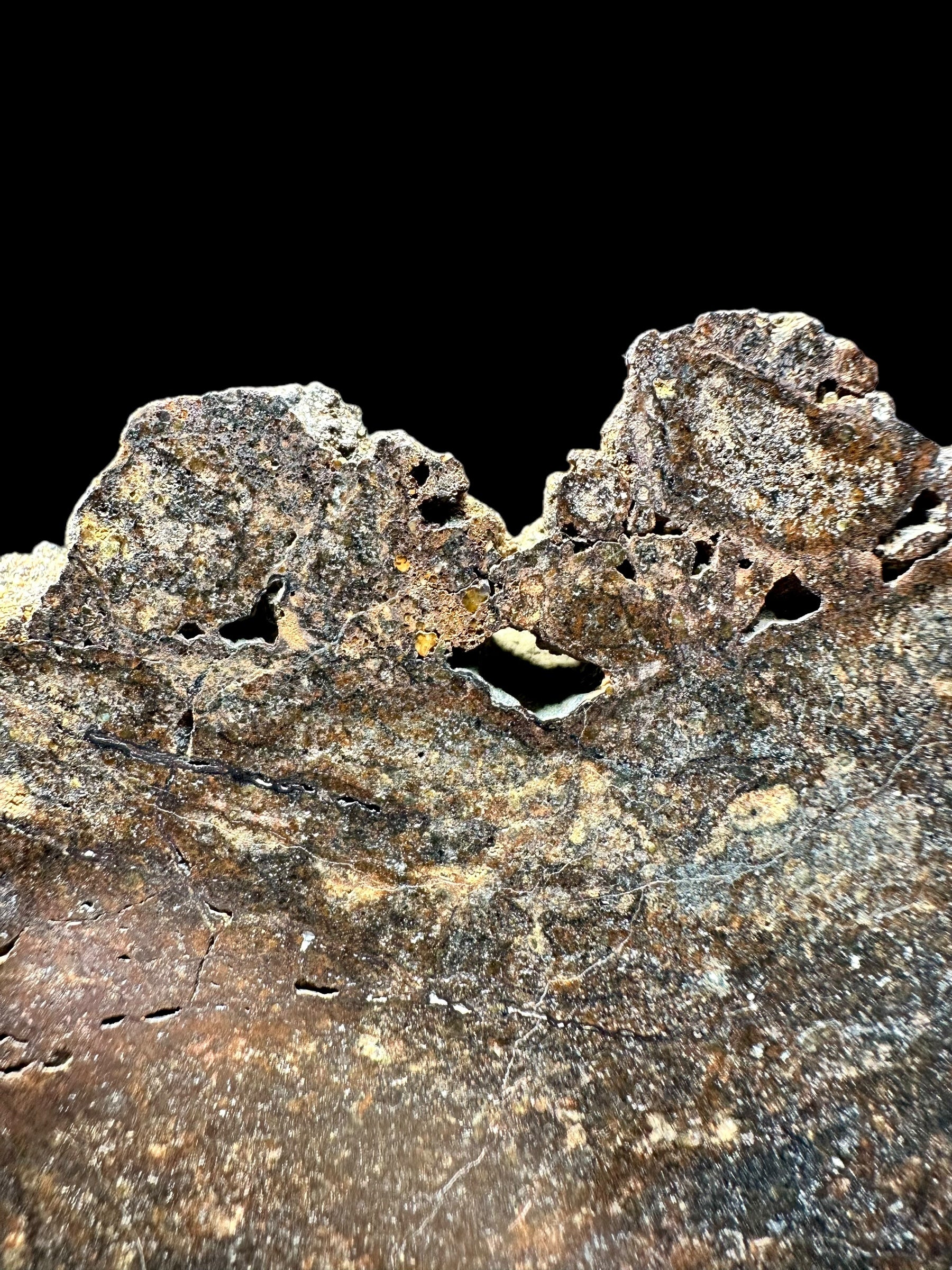 Meteorite NWA X 343,8g – Northwest Africa - MENX20