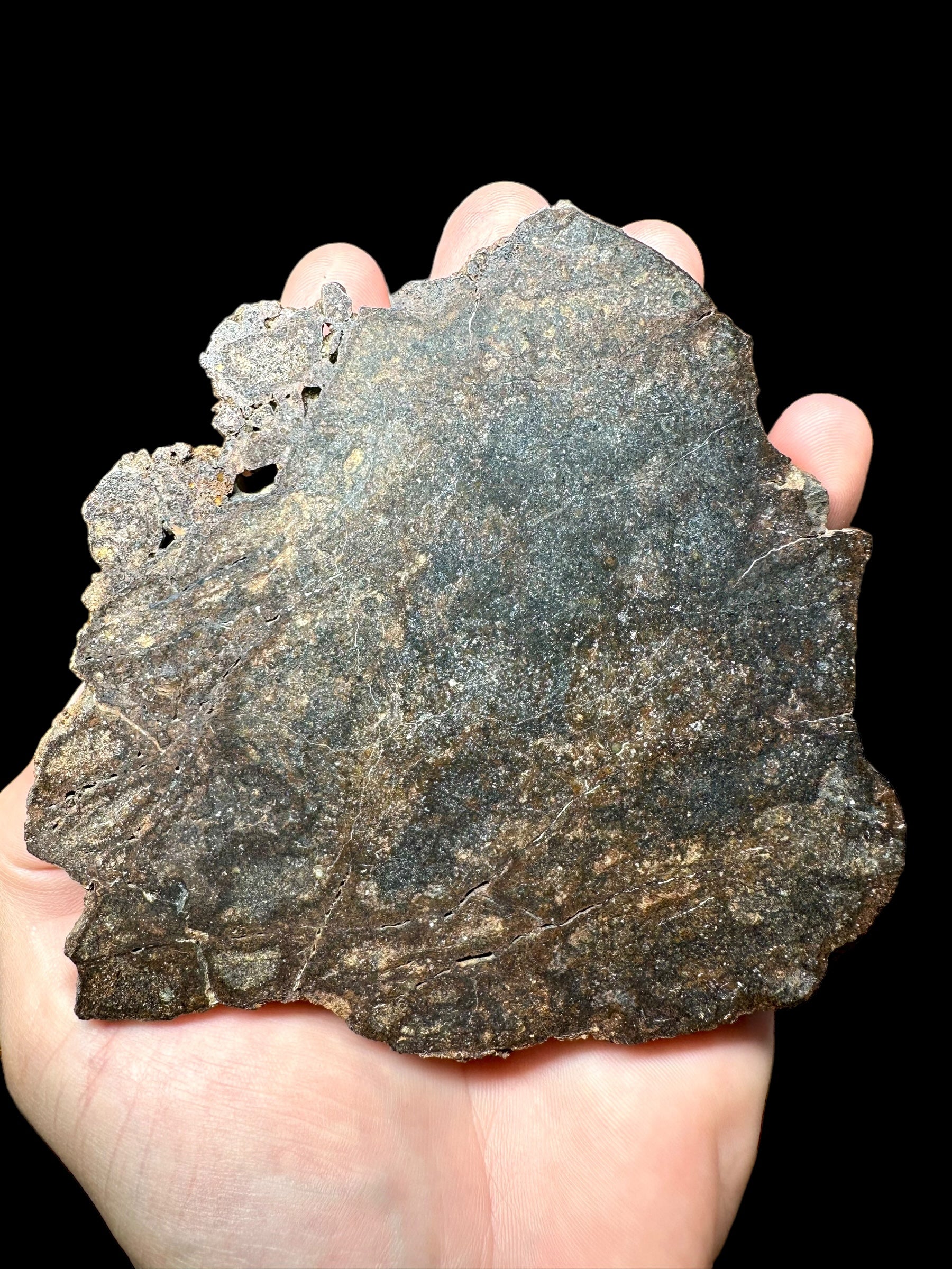 Meteorite NWA X 343,8g – Northwest Africa