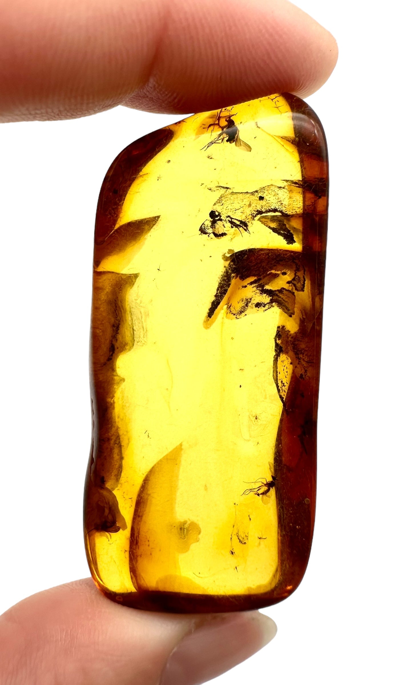 Insects in amber – Lithuania – 10g - IJ003
