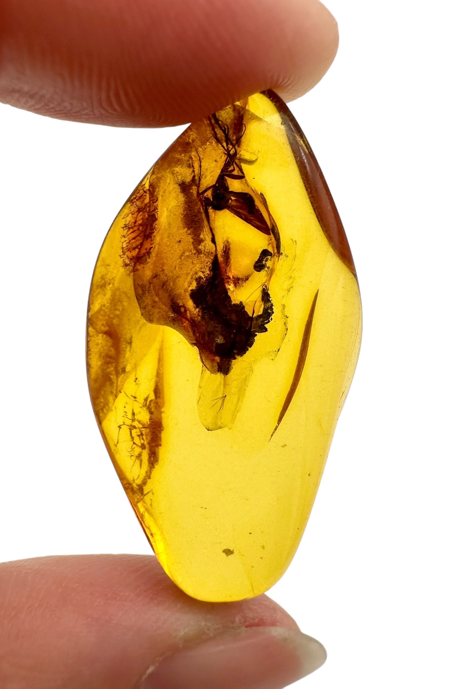 Insects in amber – Lithuania – 3g