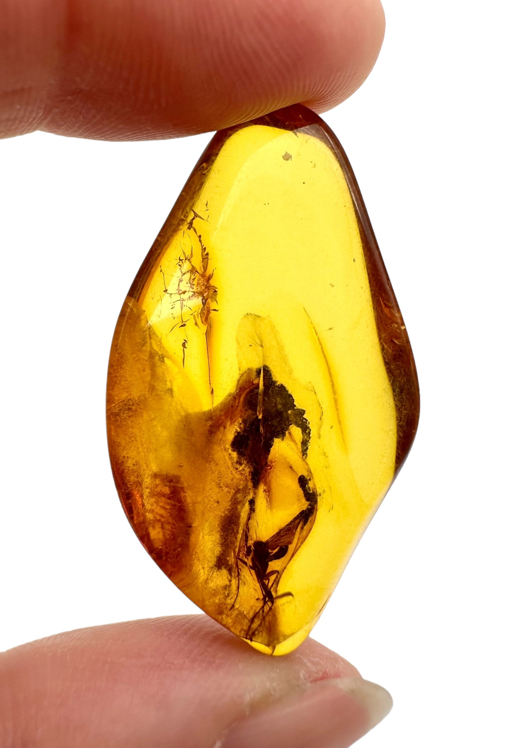 Insects in amber – Lithuania – 3g - IJ009
