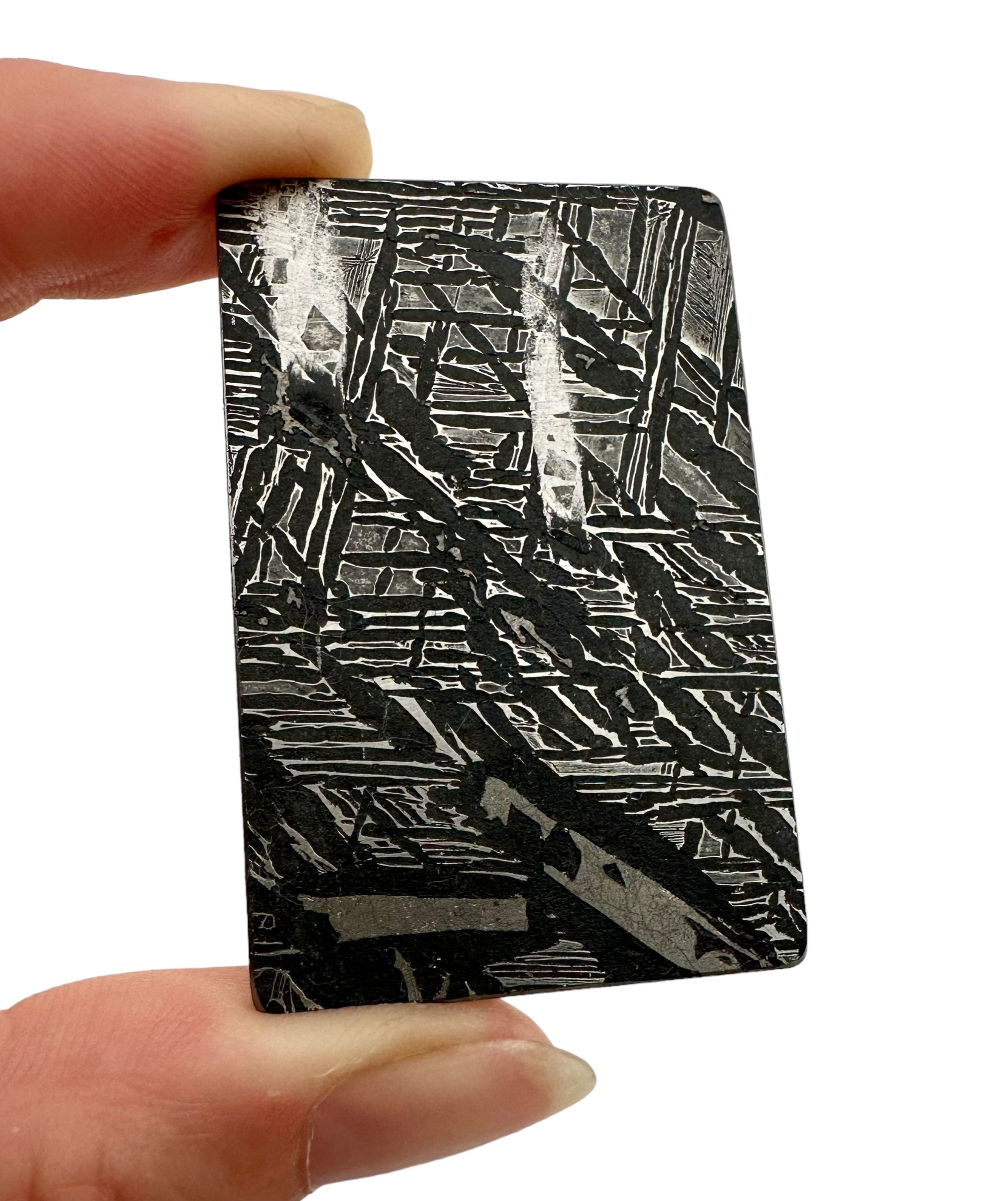Meteorite Aletai 21,9g – Xinjiang, China - MEAL22
