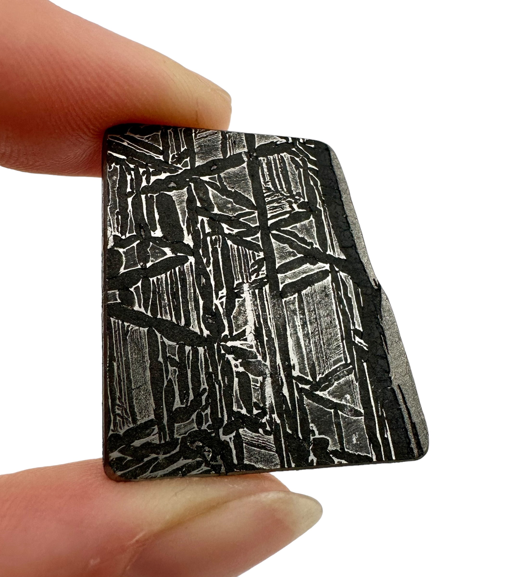 Meteorite Aletai 8,7g – Xinjiang, China - MEAL24