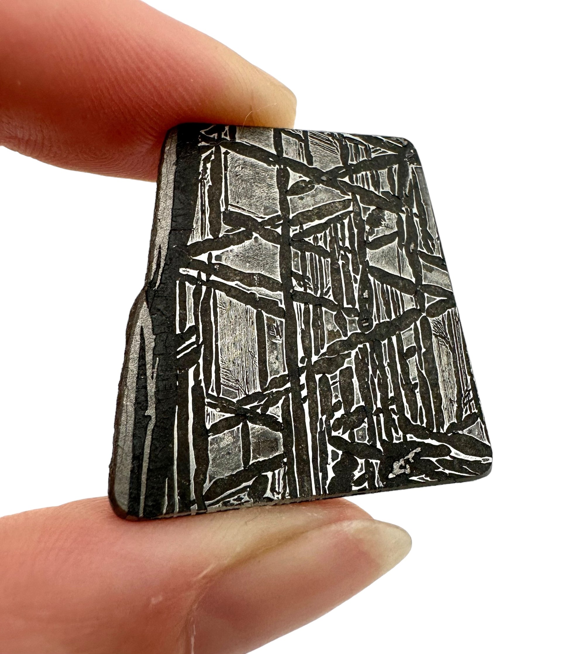 Meteorite Aletai 8,7g – Xinjiang, China