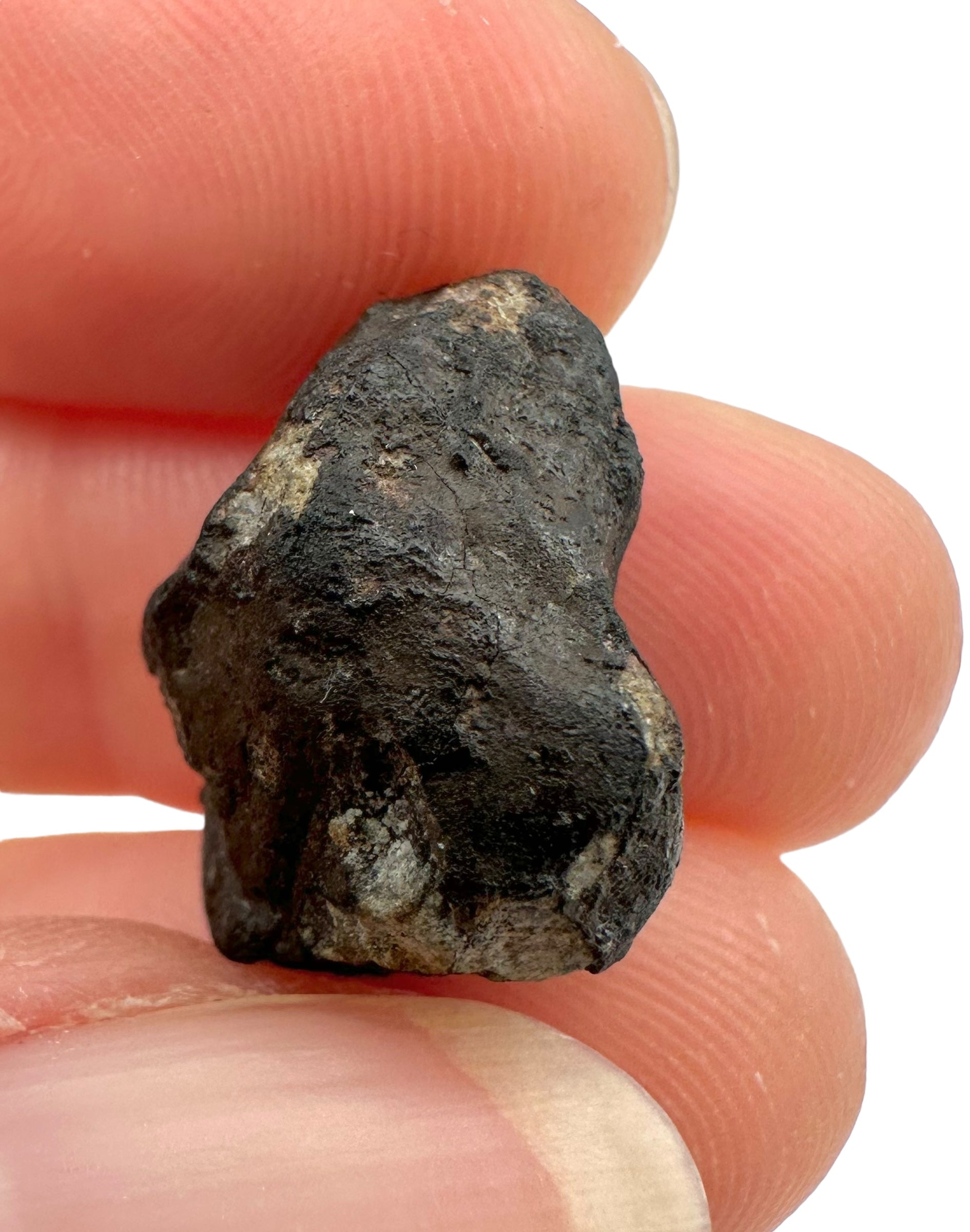 Meteorite Chelyabinsk 3,2g – Russia - MECE01