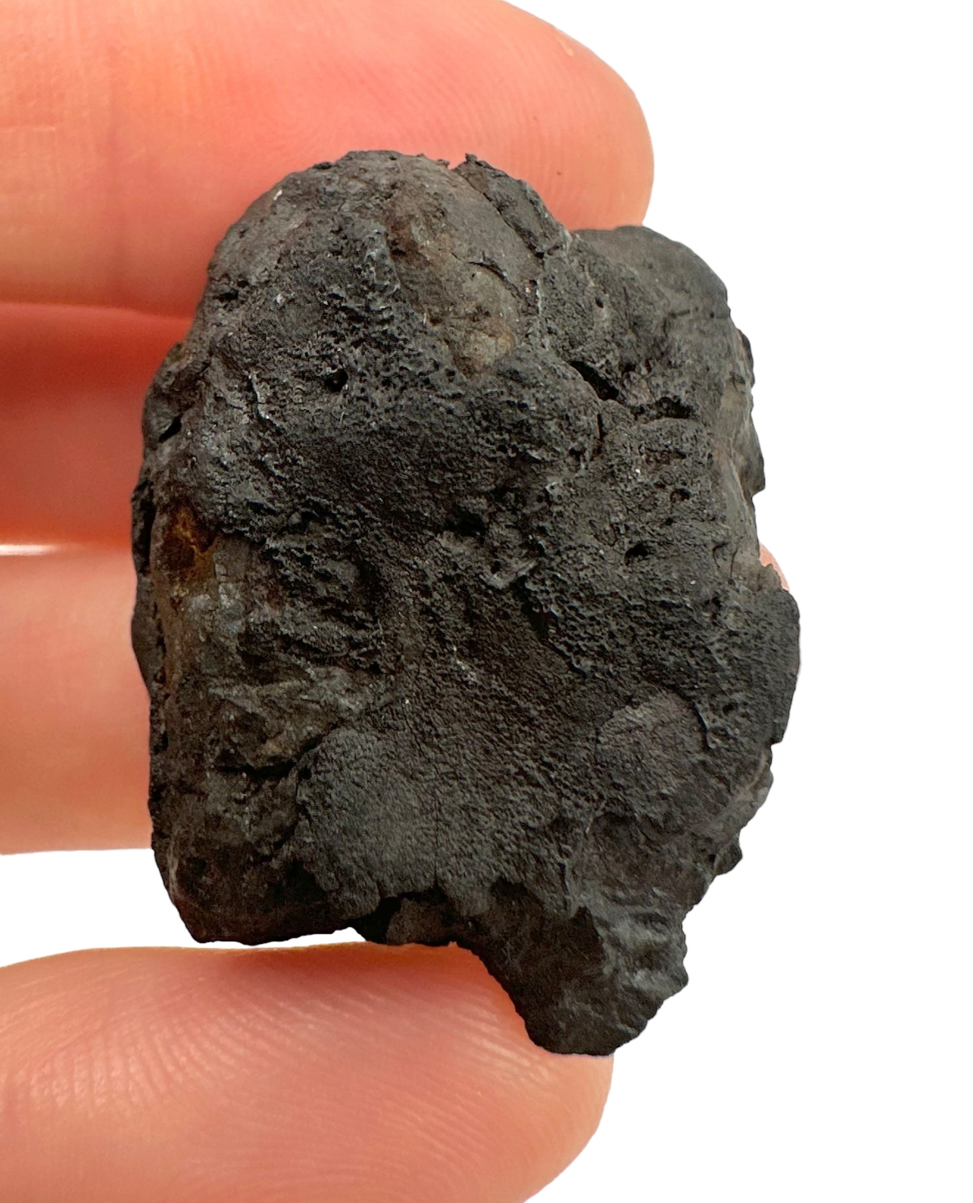 Meteorite Chelyabinsk 19,5g – Russia - MECE04