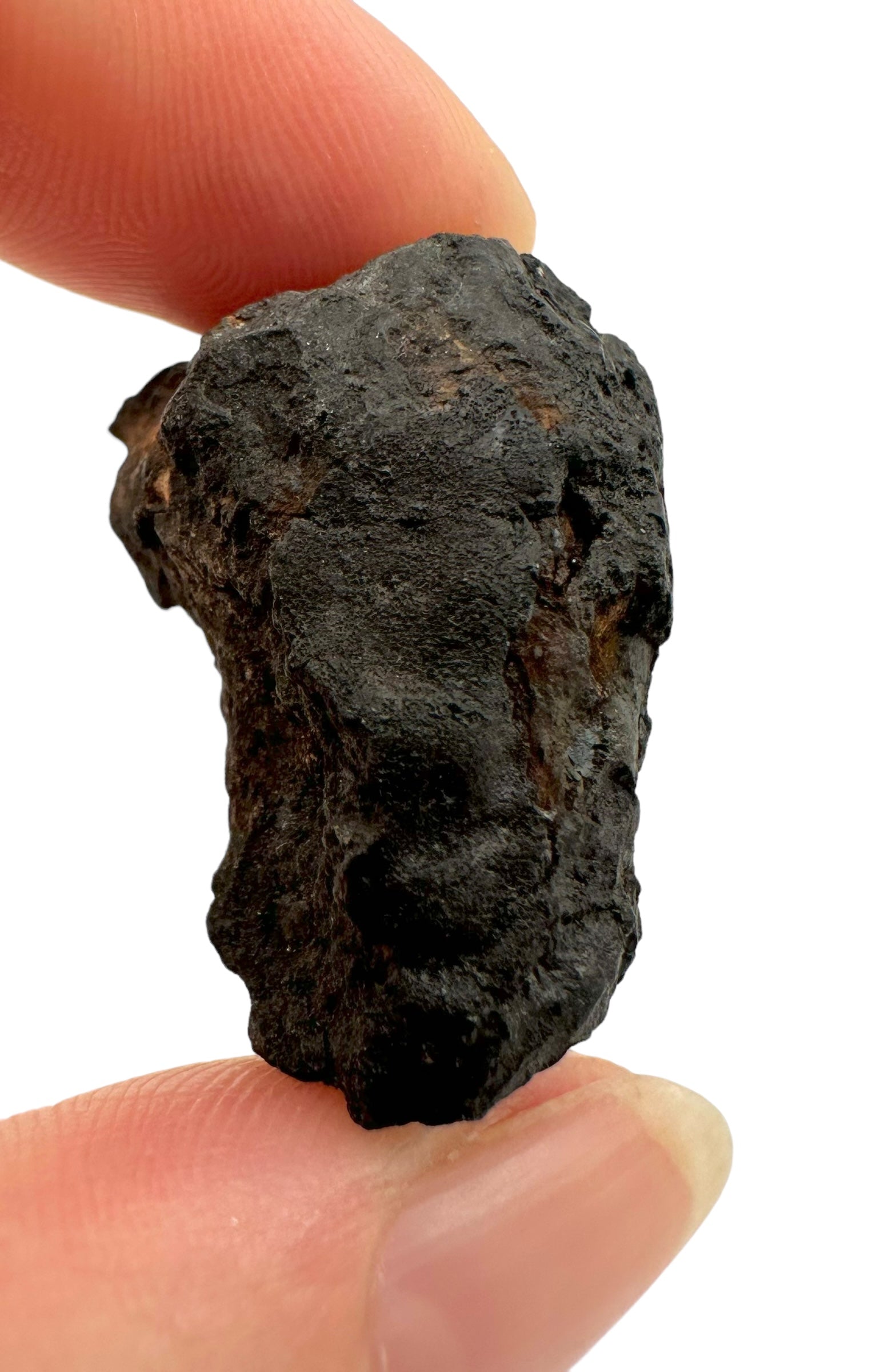 Meteorite Chelyabinsk 19,5g – Russia - MECE04
