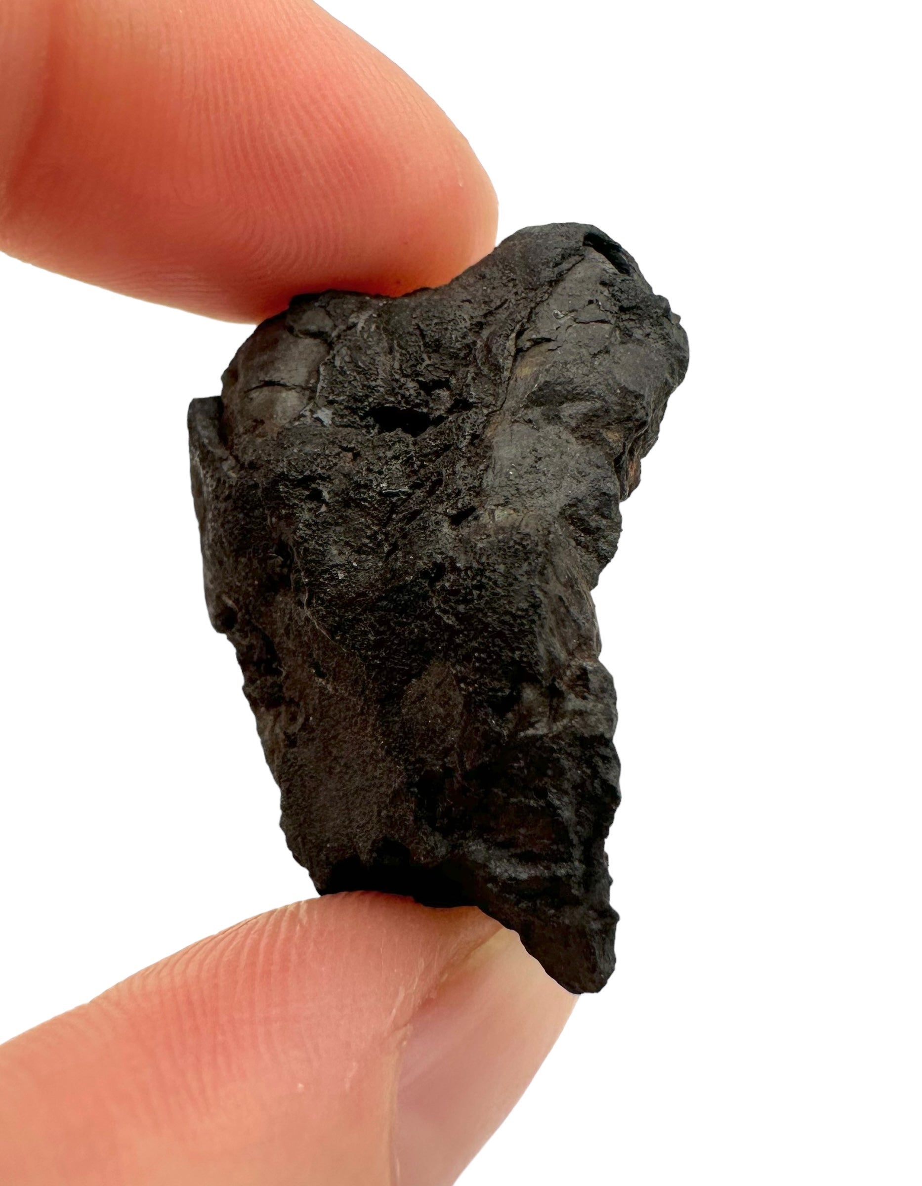 Meteorite Chelyabinsk 19,5g – Russia - MECE04