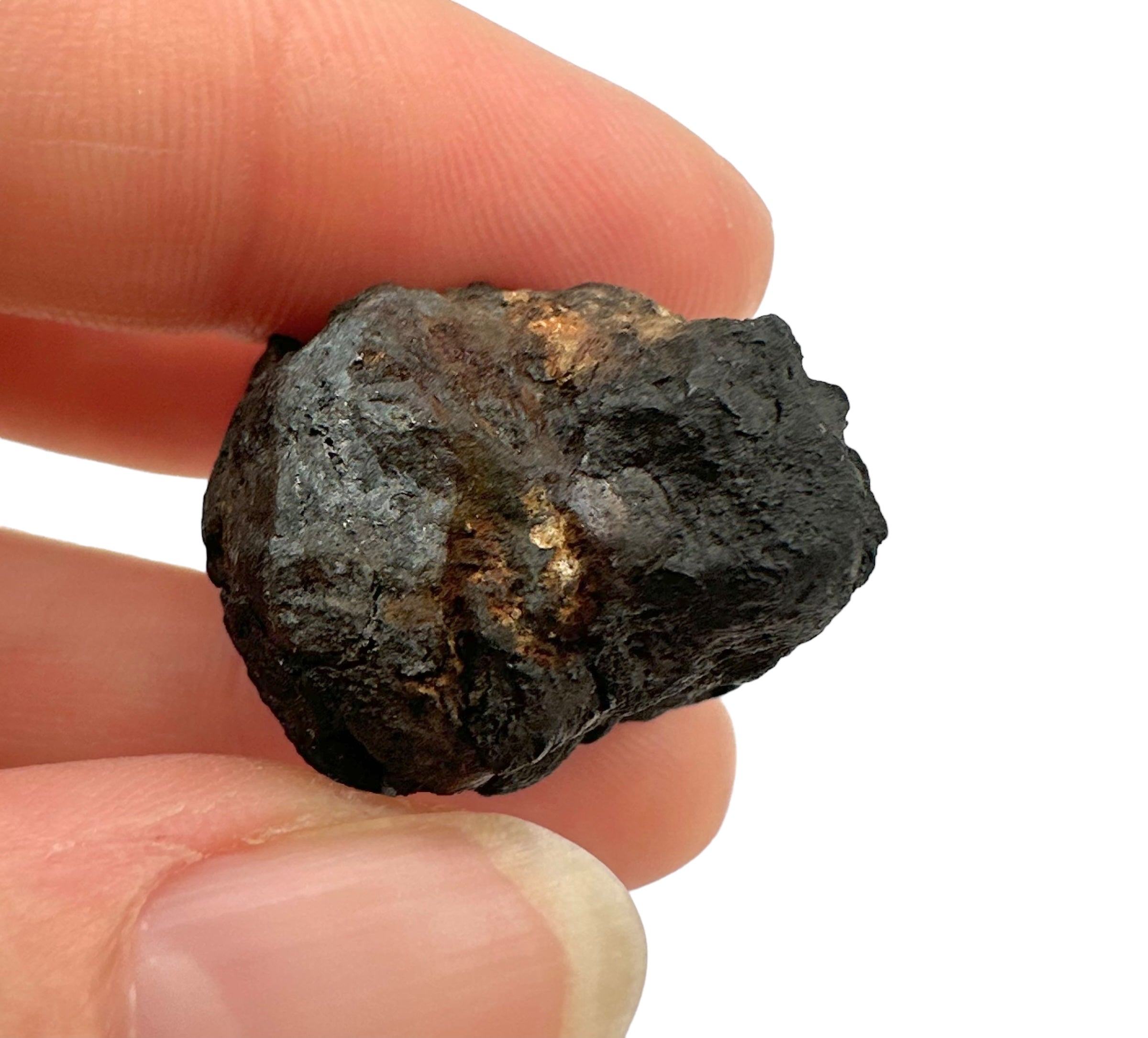 Meteorite Chelyabinsk 19,5g – Russia - MECE04