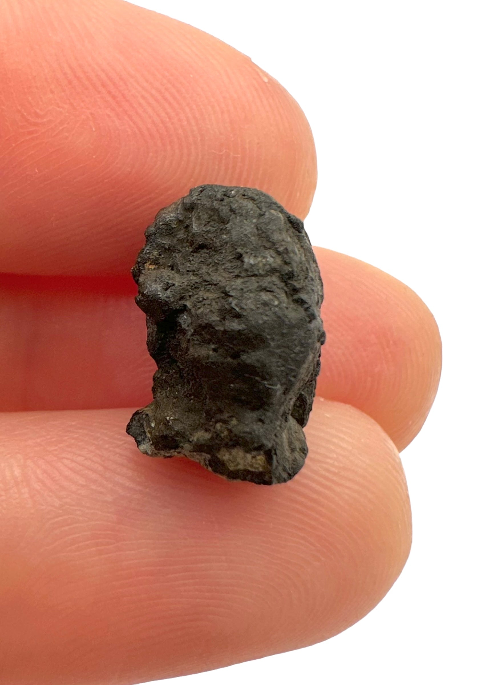 Meteorite Chelyabinsk 1,8g – Russia - MECE06