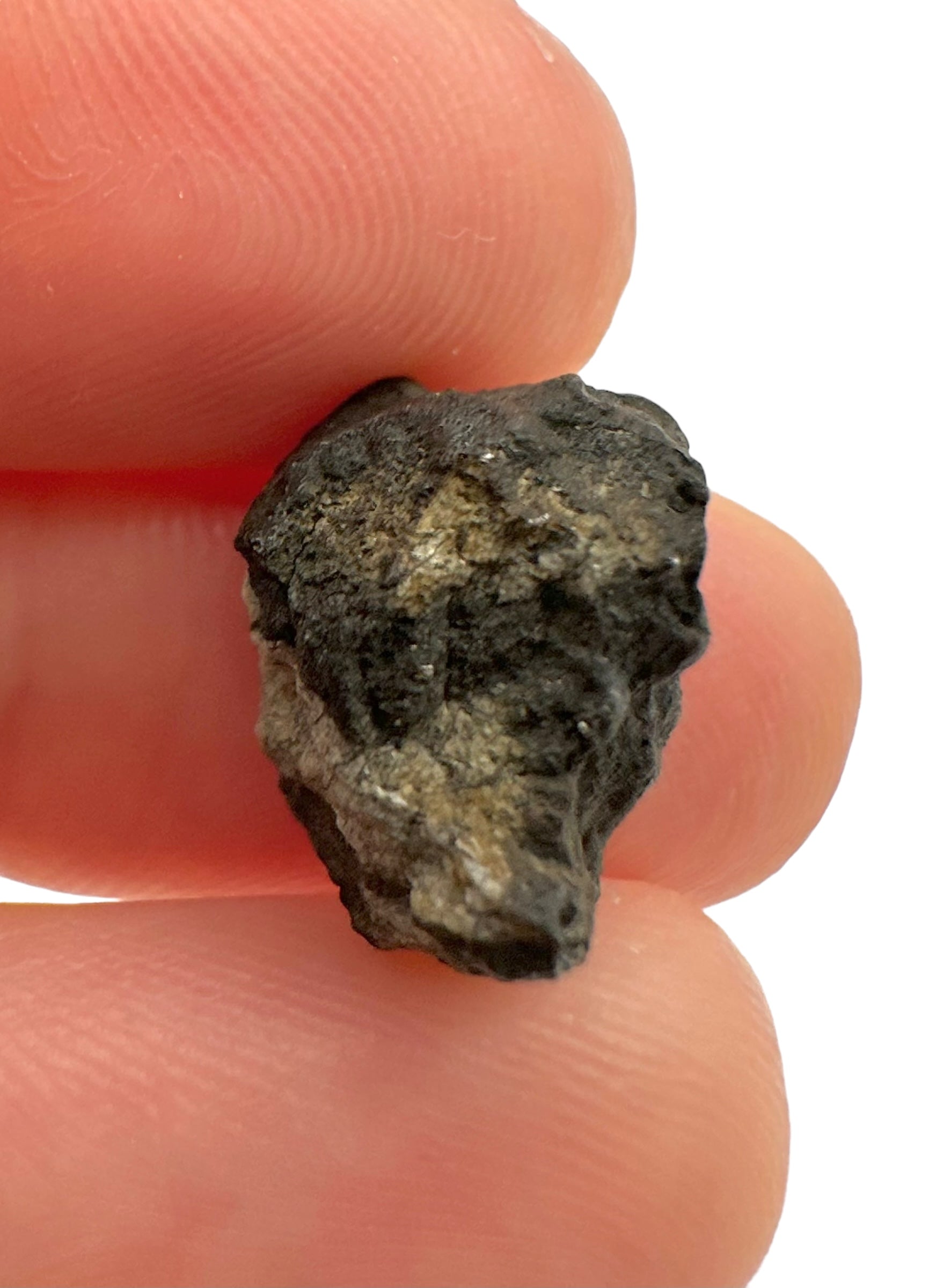Meteorite Chelyabinsk 1,8g – Russia