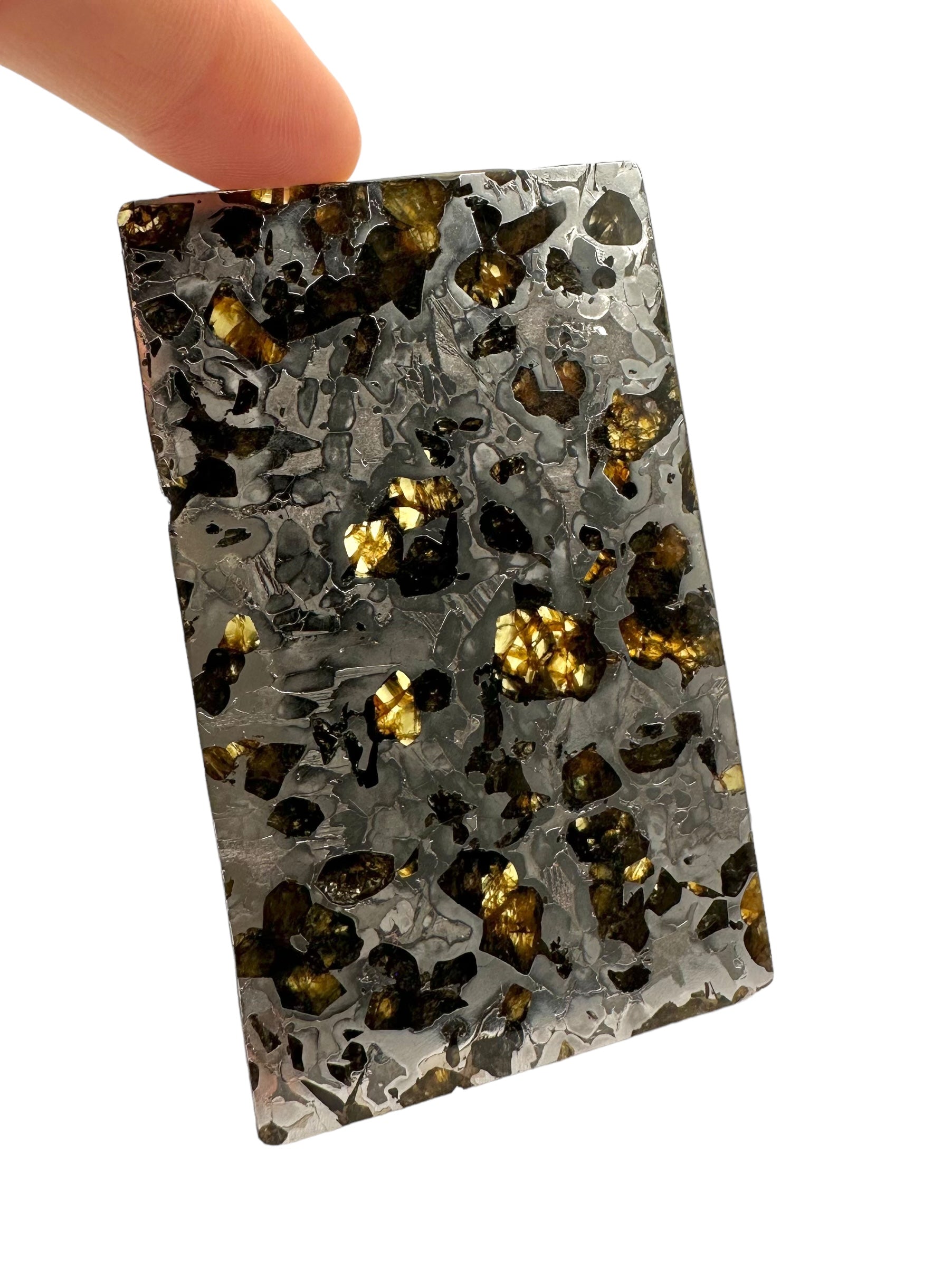 Meteorite Seymchan 70,2g – Extra quality – Magadan, Russia - MESM16