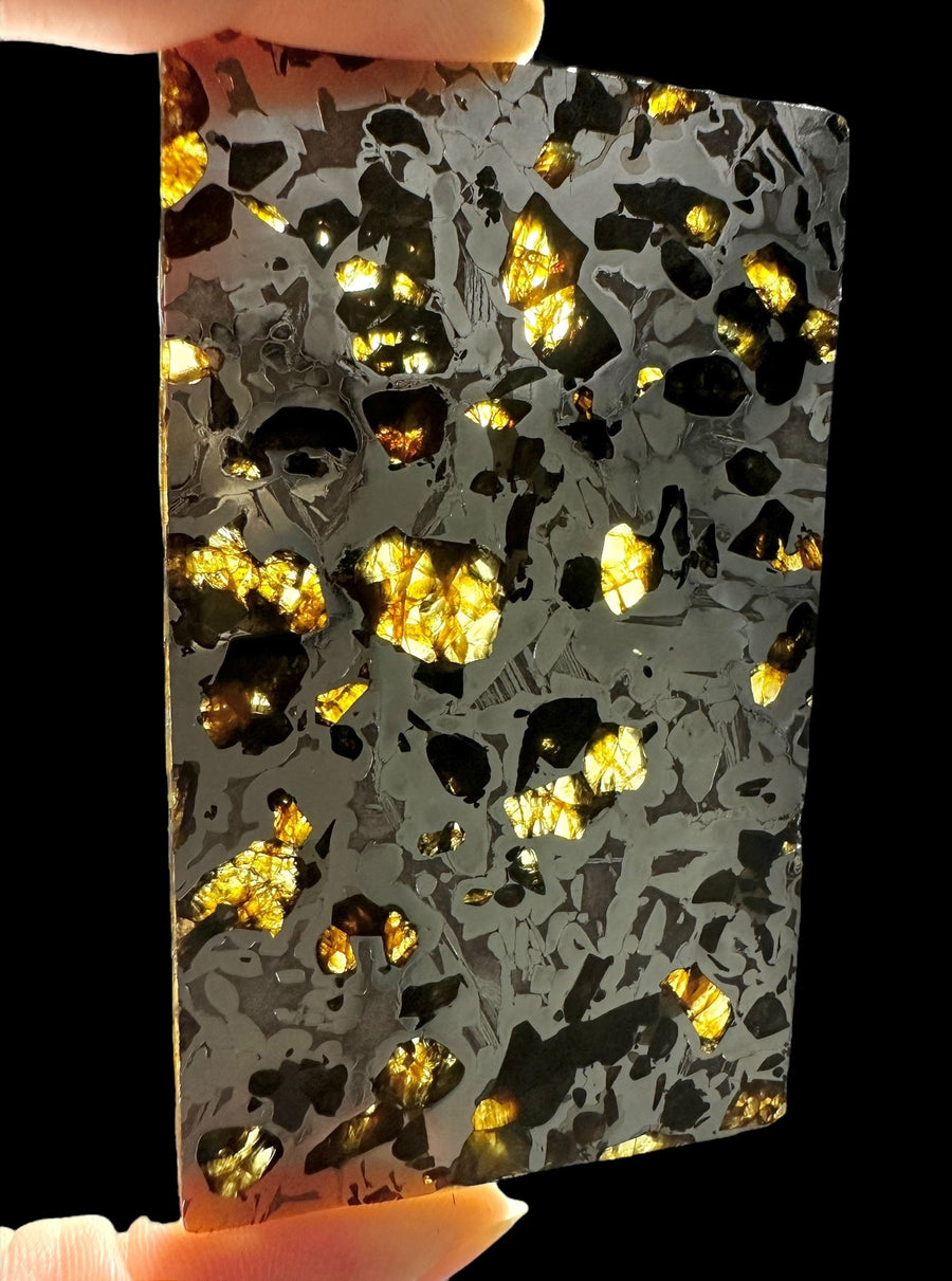 Fetta levigata di meteorite Seymchan con olivine traslucide in matrice ferro-nichel