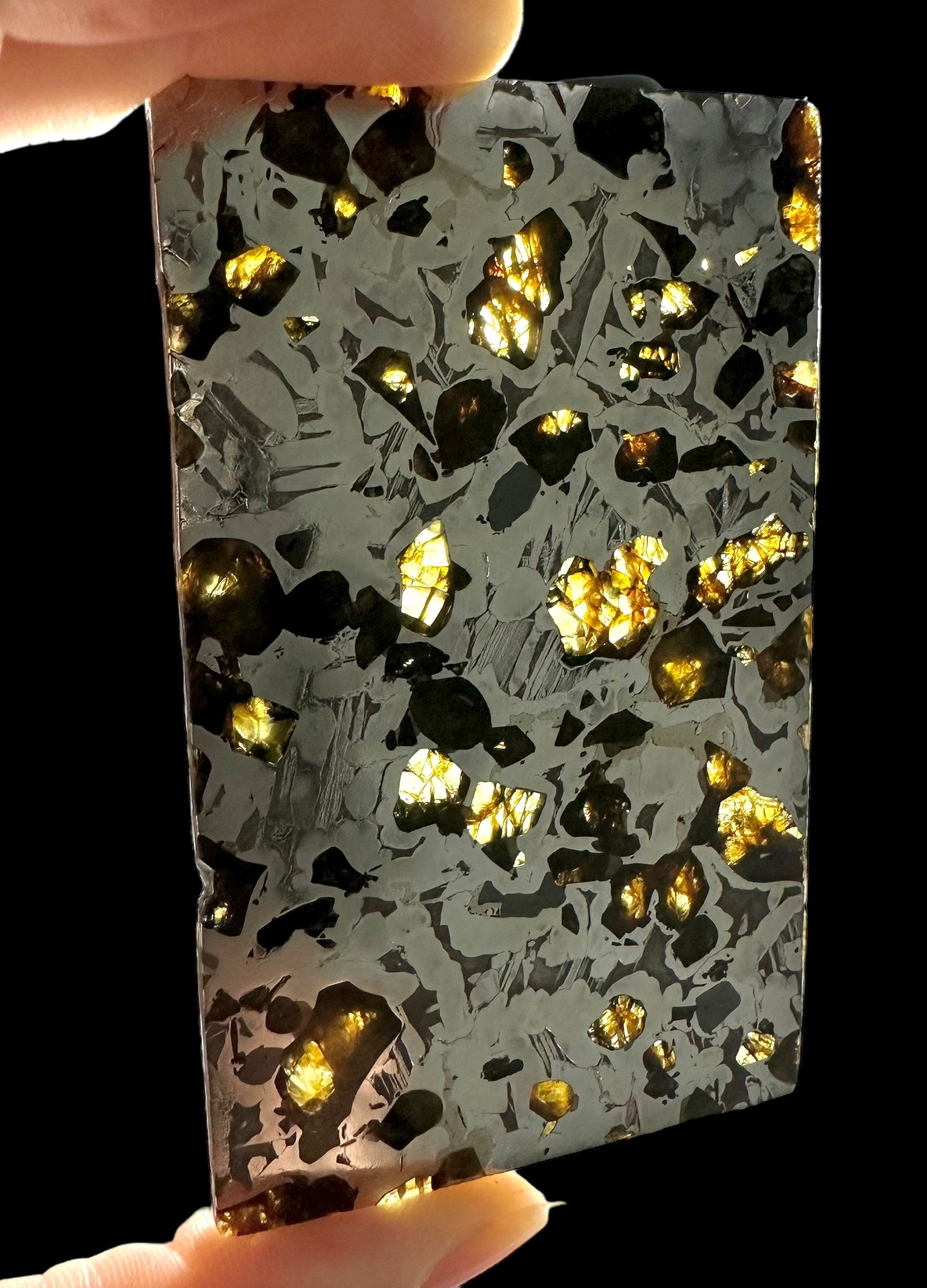 Meteorite Seymchan 70,2g – Extra quality – Magadan, Russia - MESM16