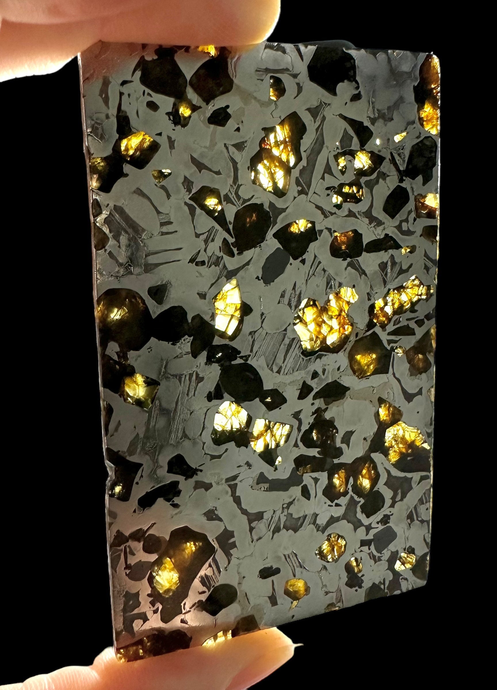 Meteorite Seymchan 70,2g – Extra quality – Magadan, Russia - MESM16
