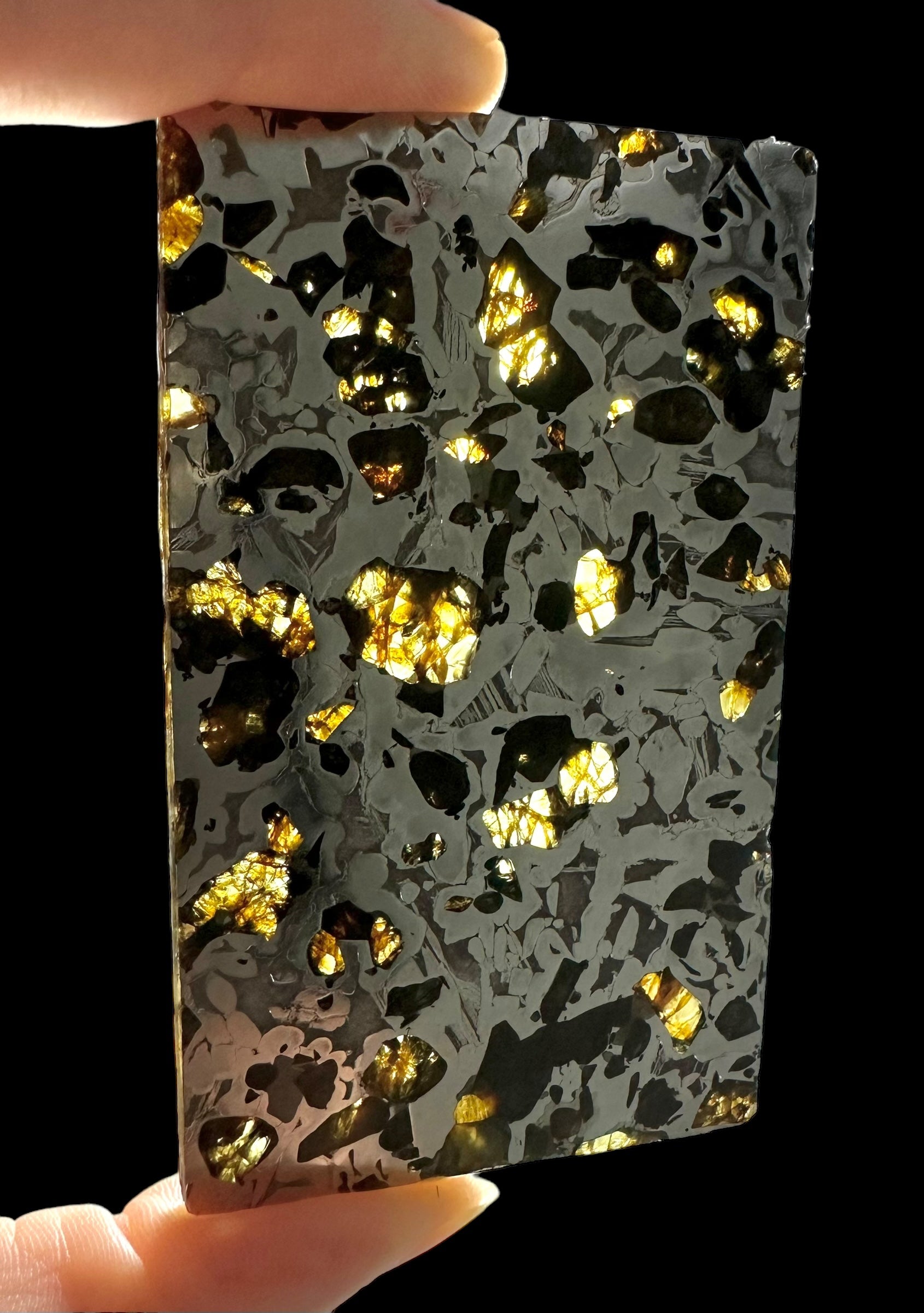 Meteorite Seymchan 70,2g – Extra quality – Magadan, Russia - MESM16