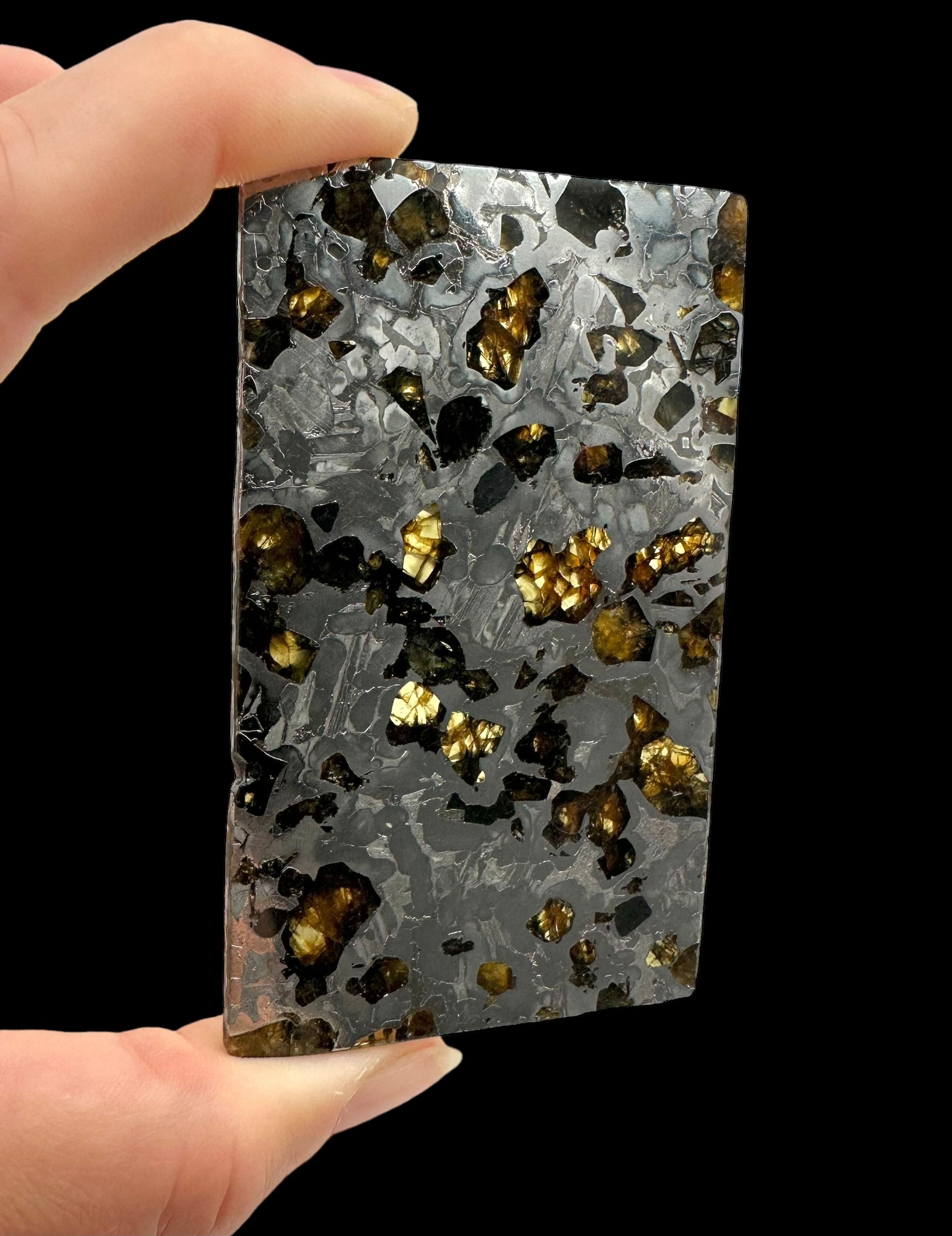Meteorite Seymchan 70,2g – Extra quality – Magadan, Russia - MESM16