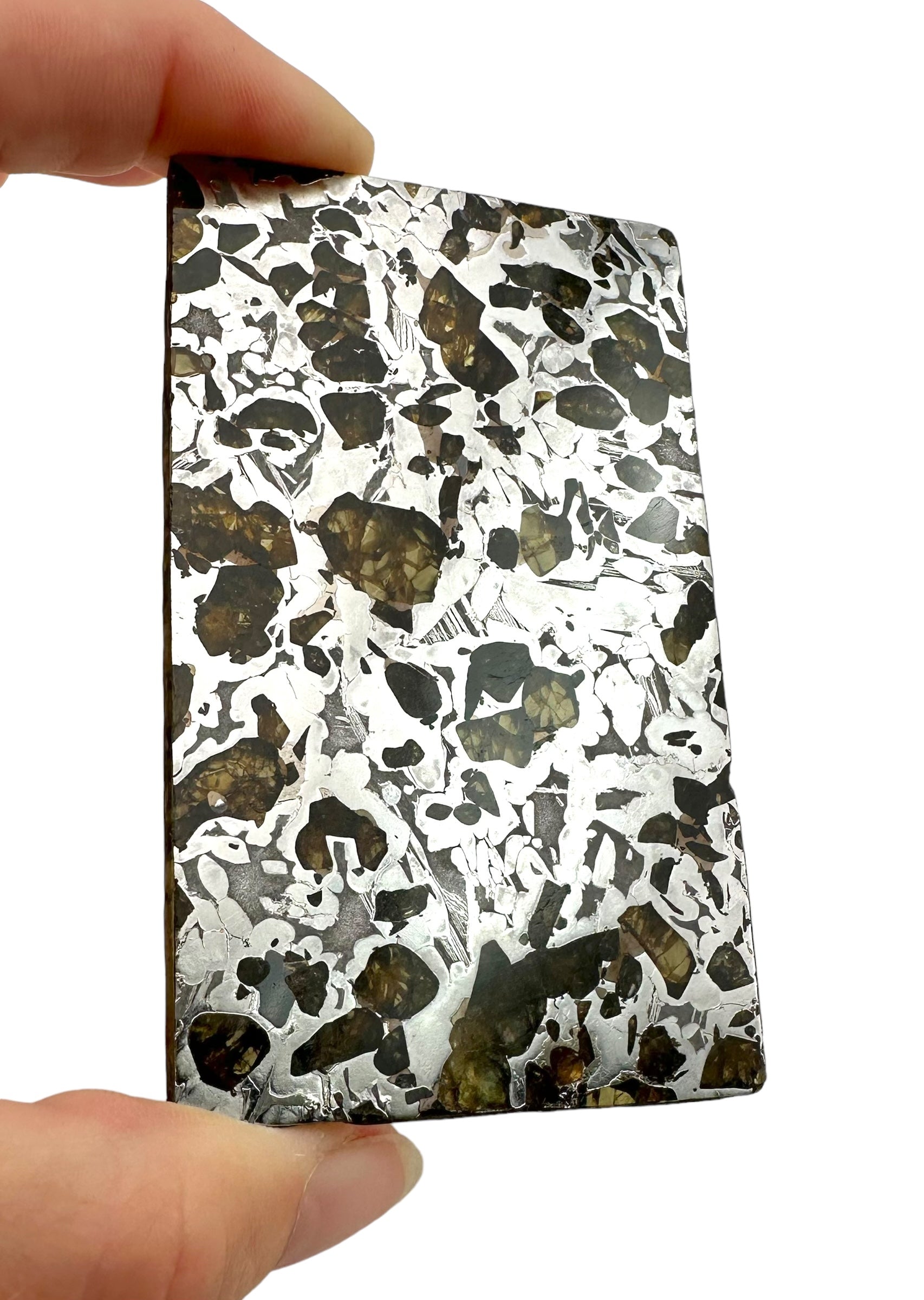 Meteorite Seymchan 70,2g – Extra quality – Magadan, Russia - MESM16