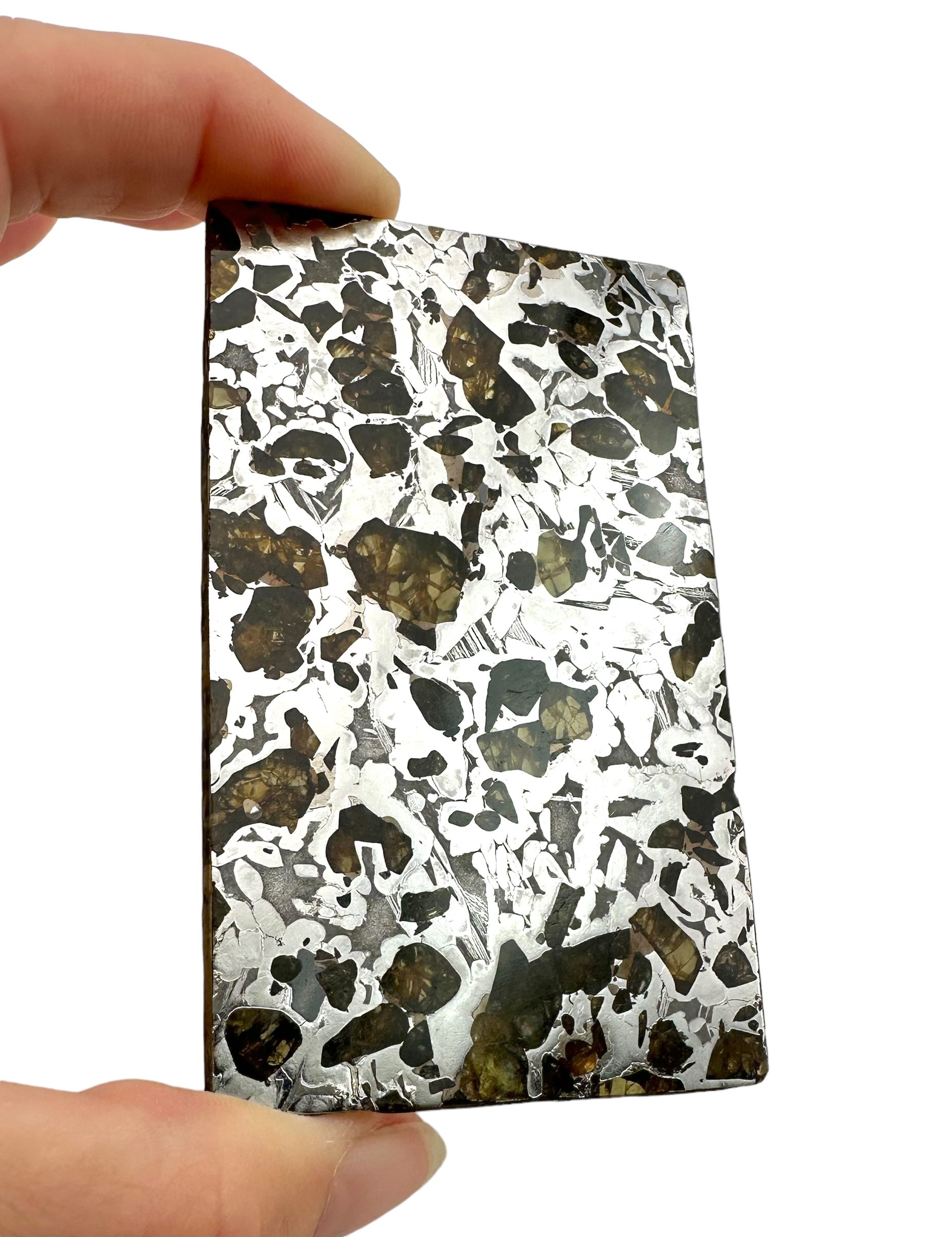 Meteorite Seymchan 70,2g – Extra quality – Magadan, Russia - MESM16