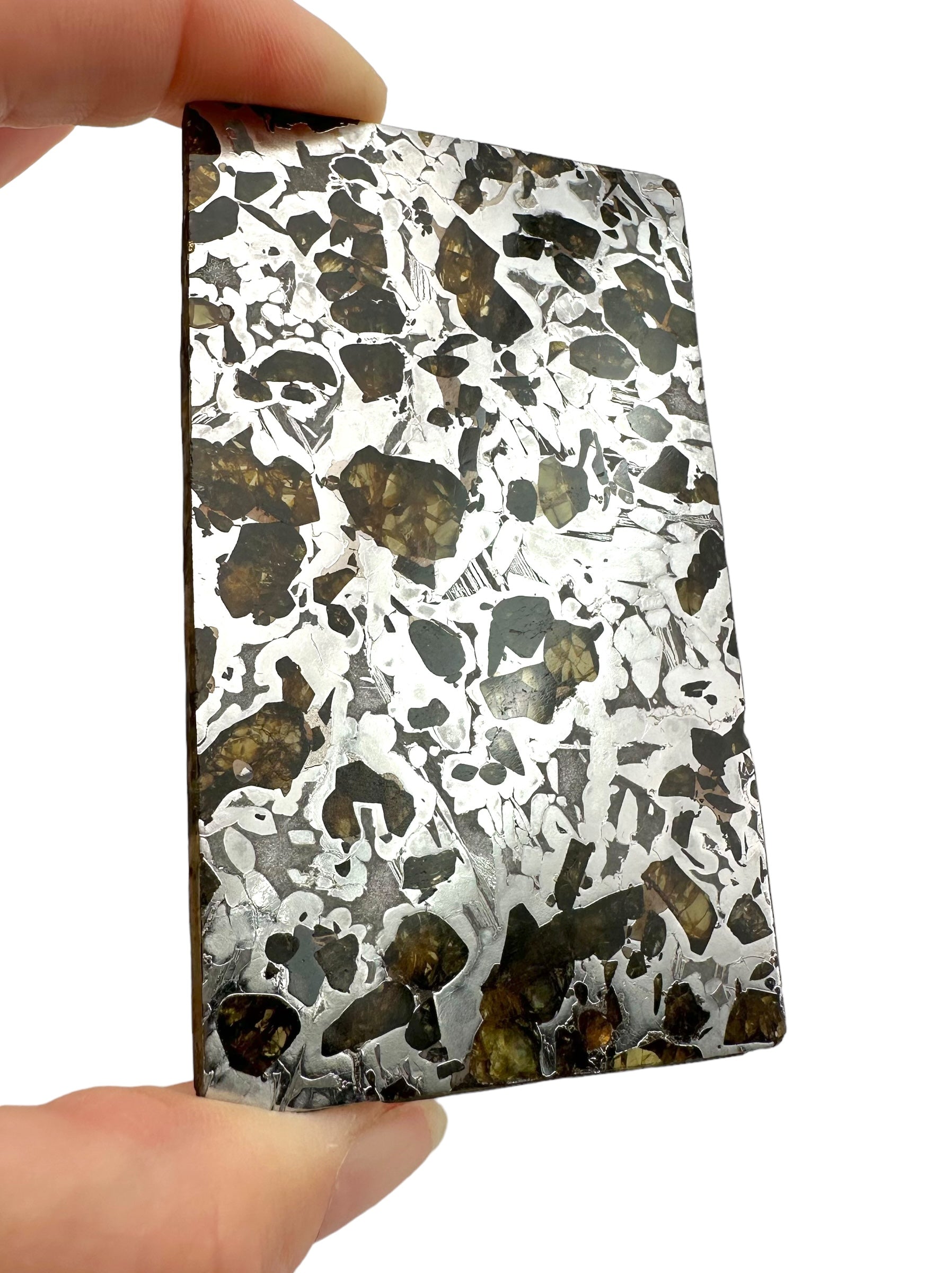 Meteorite Seymchan 70,2g – Extra quality – Magadan, Russia - MESM16