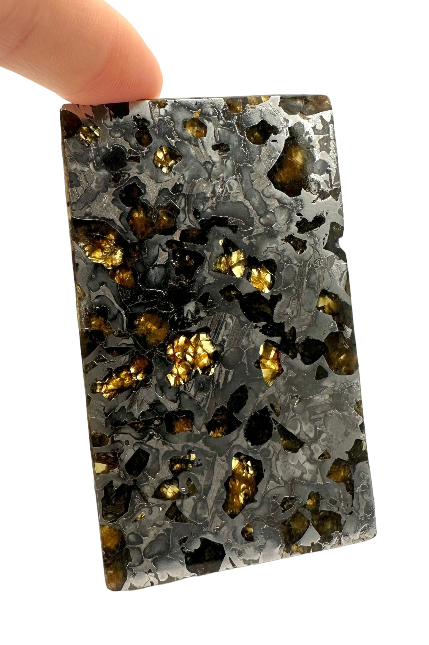 Meteorite Seymchan – Magadan, Russia