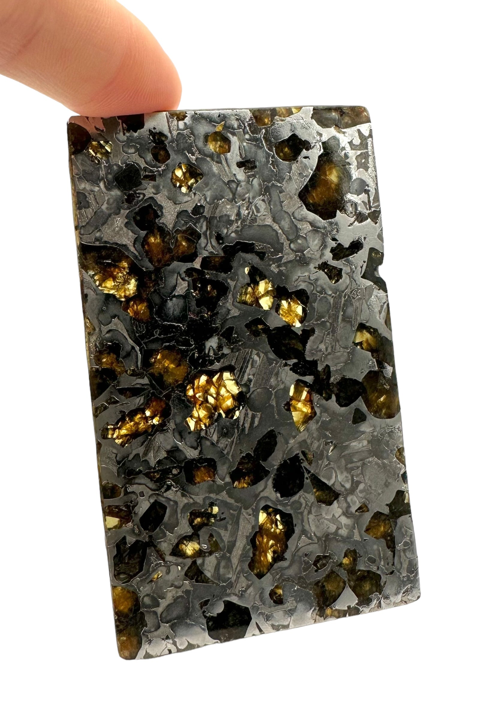 Meteorite Seymchan 70,2g – Extra quality – Magadan, Russia - MESM16