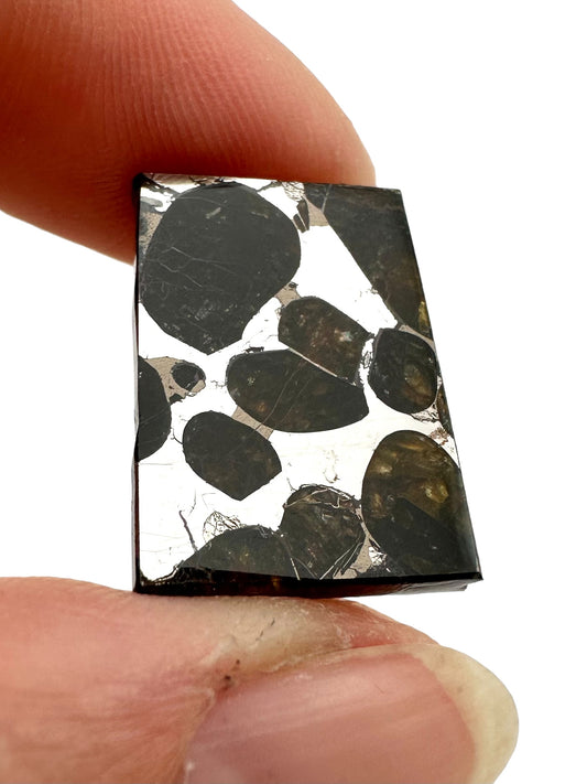 Meteorite Pallasit Brahin – Belarus