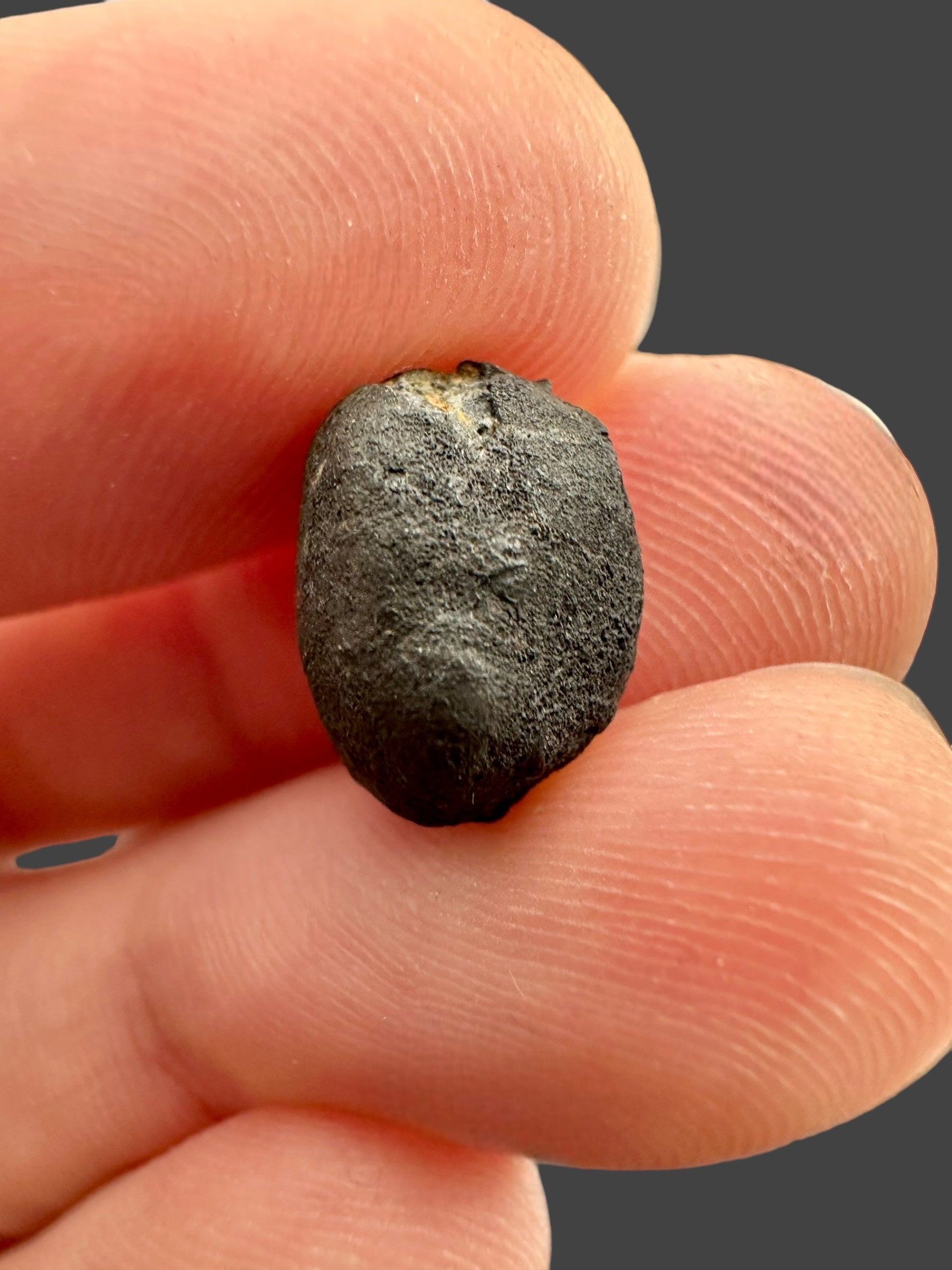 Meteorite Chelyabinsk 1,5g – Russia - MECE11