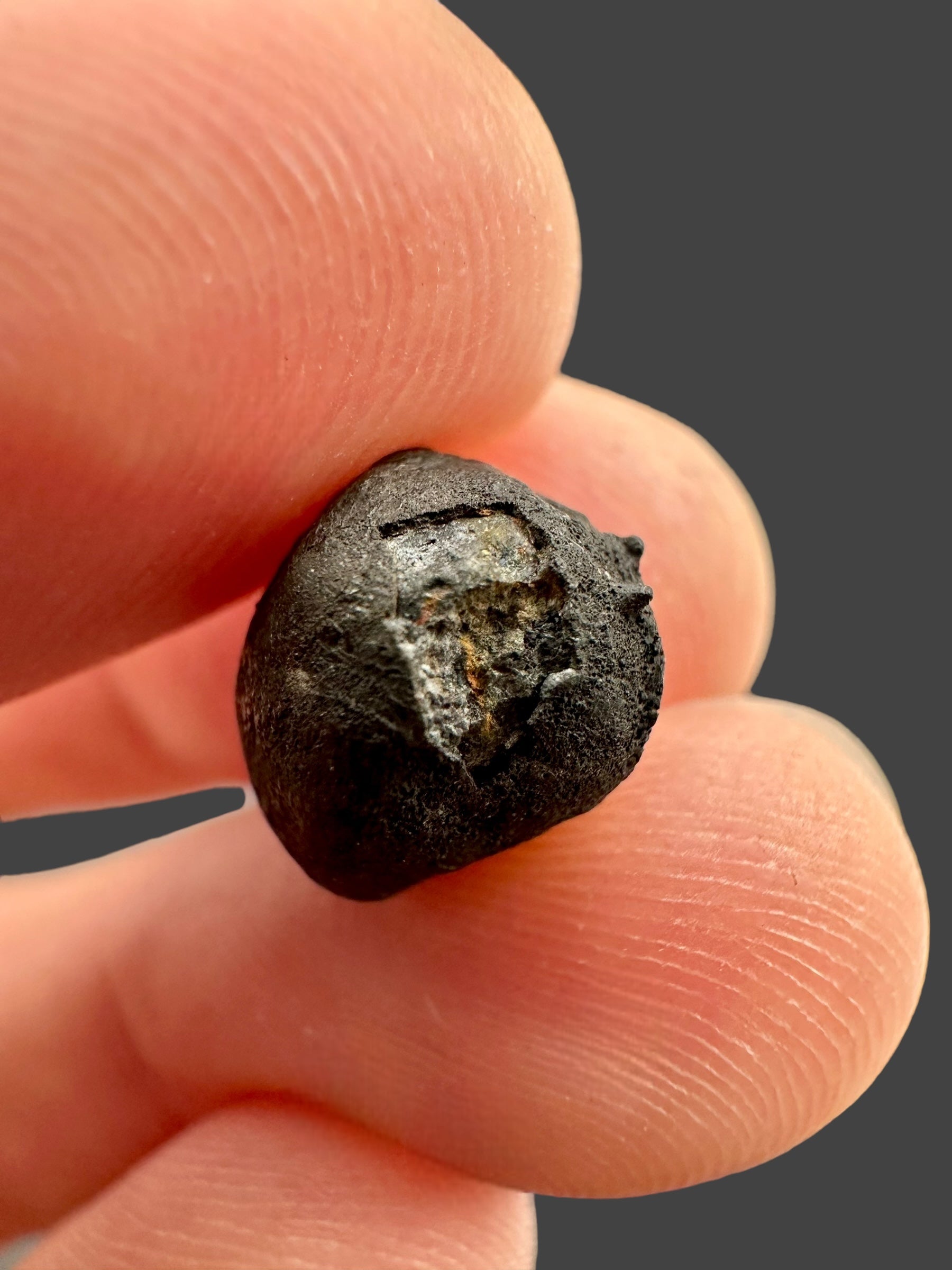 Meteorite Chelyabinsk 1,5g – Russia - MECE11