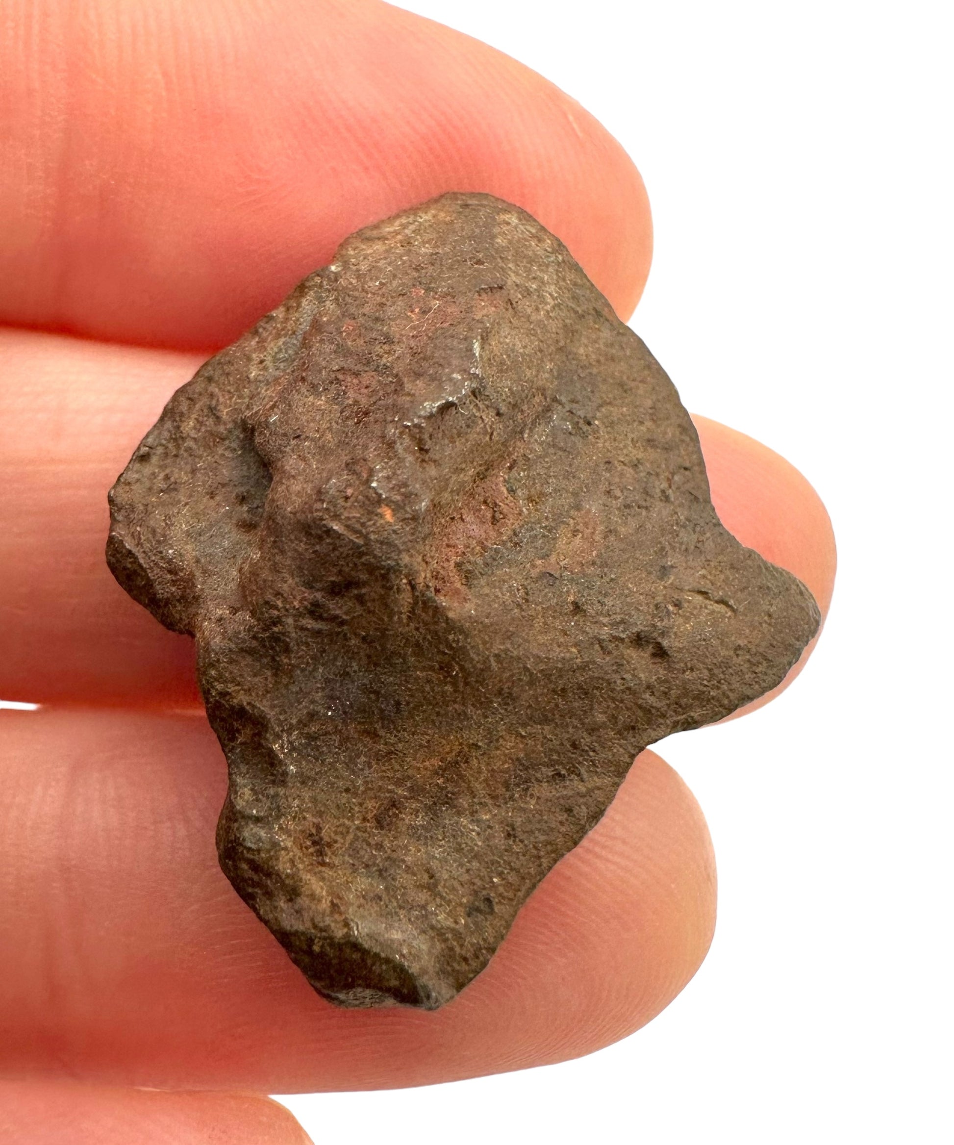 Meteorite Gebel Kamil – East Uweinat desert, Egypt – MEGE01