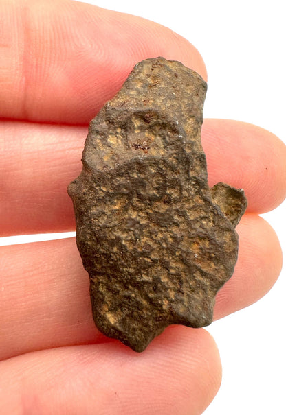 Meteorite Gebel Kamil – East Uweinat desert, Egypt – MEGE02