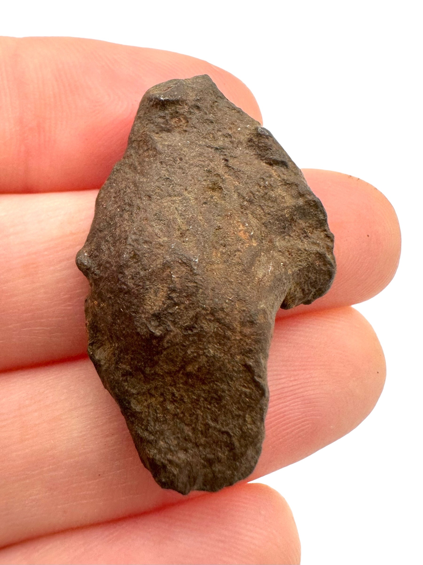 Meteorite Gebel Kamil – East Uweinat desert, Egypt – MEGE02