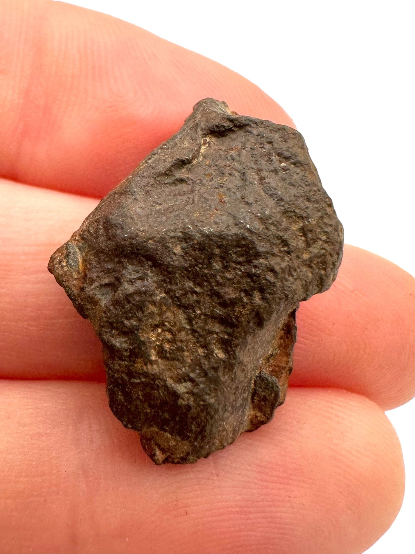 Meteorite Gebel Kamil – East Uweinat desert, Egypt – MEGE04
