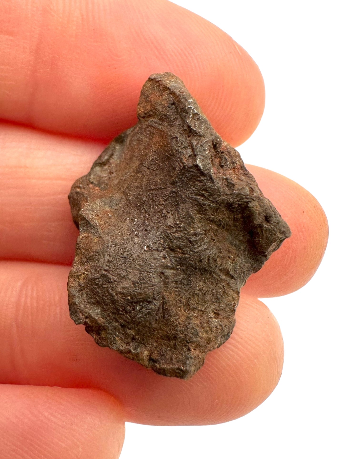 Meteorite Gebel Kamil – East Uweinat desert, Egypt – MEGE04