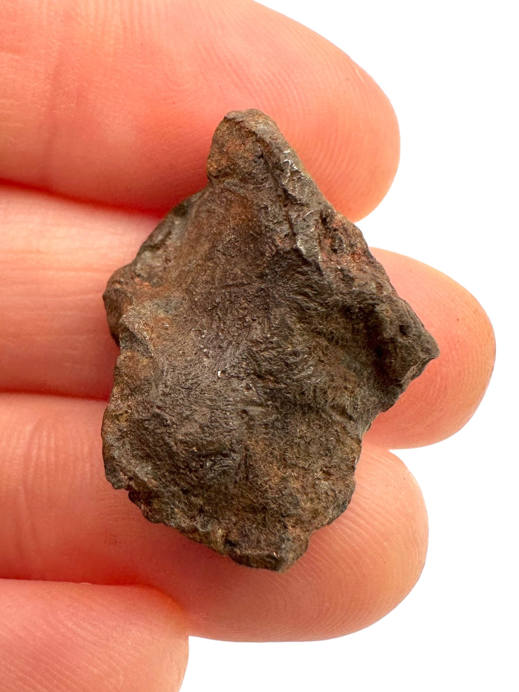 Meteorite Gebel Kamil – East Uweinat desert, Egypt – MEGE04