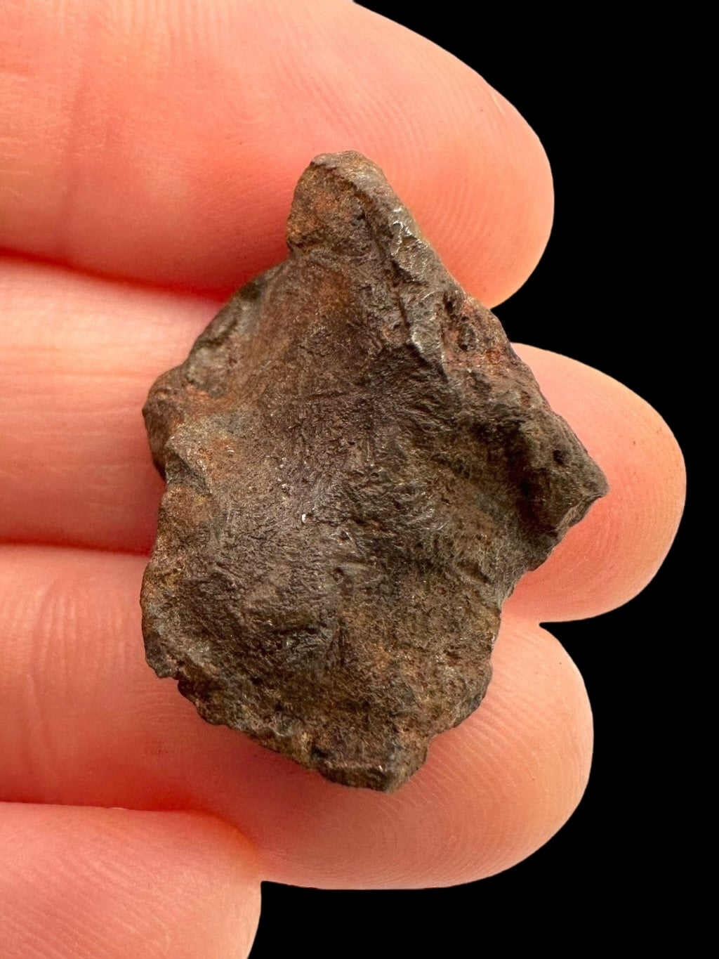 Meteorite Gebel Kamil 10,8g – Egypt