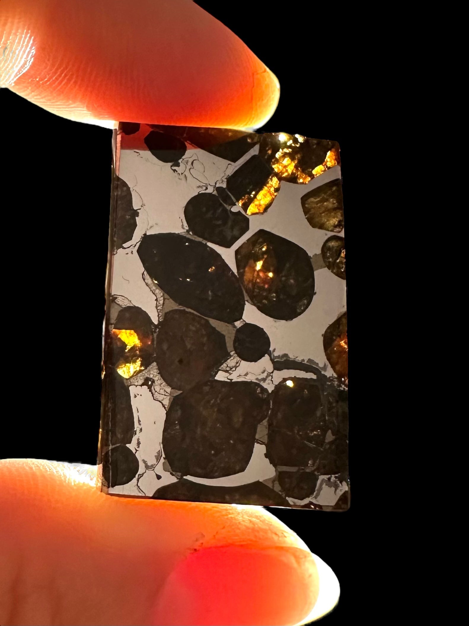 Brahin Pallasite Meteorite 7,2g – Belarus - MEBR03