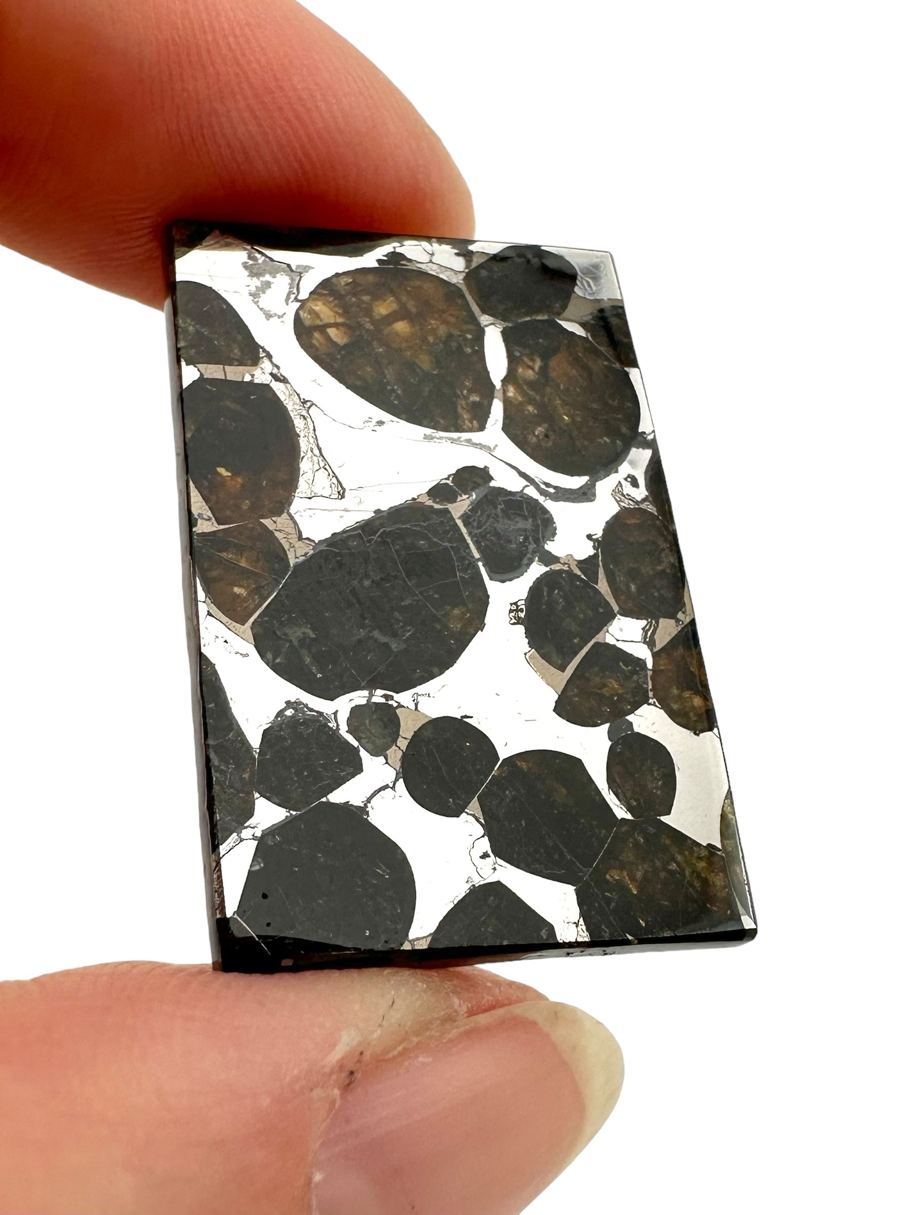 Brahin Pallasite Meteorite 7,2g – Belarus