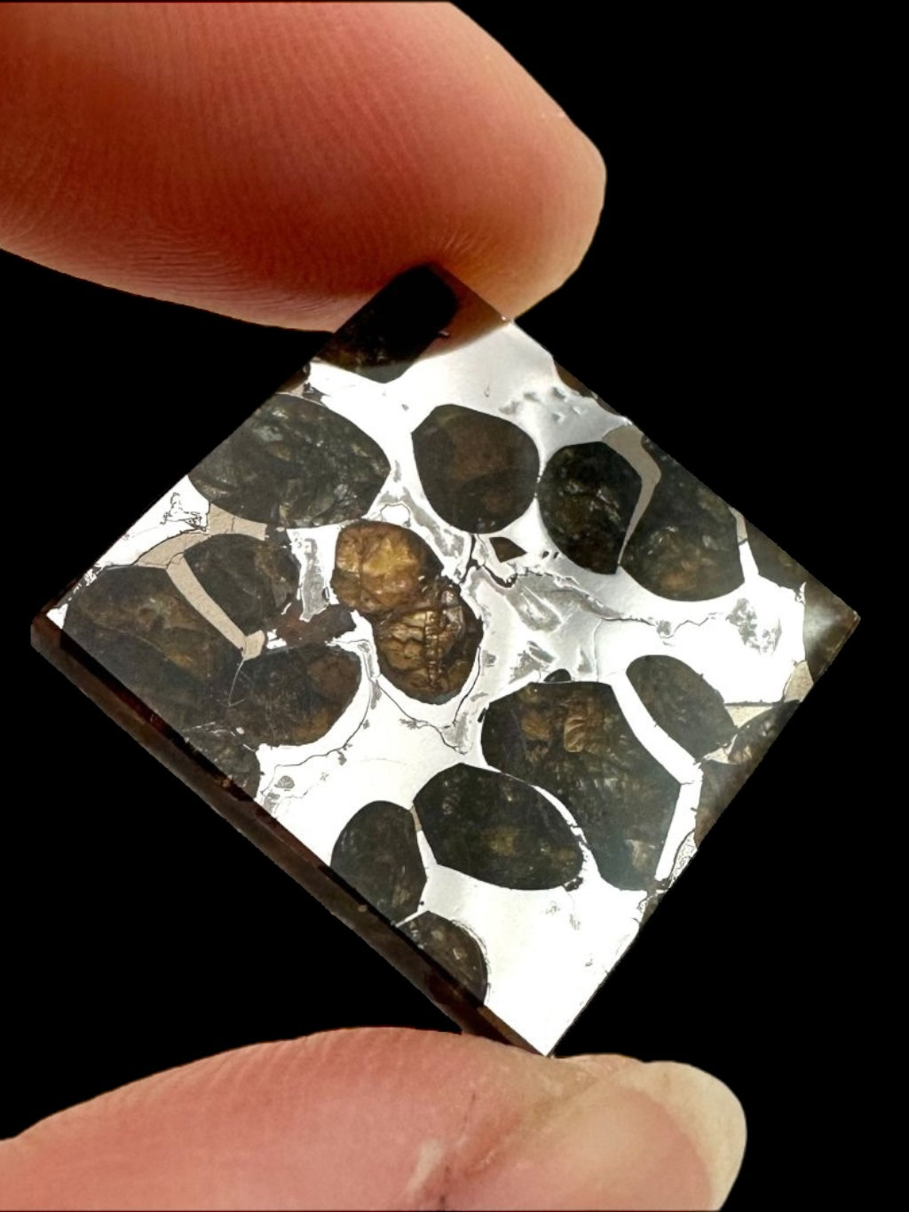 Brahin Pallasite Meteorite 5,5g – Belarus - MEBR06