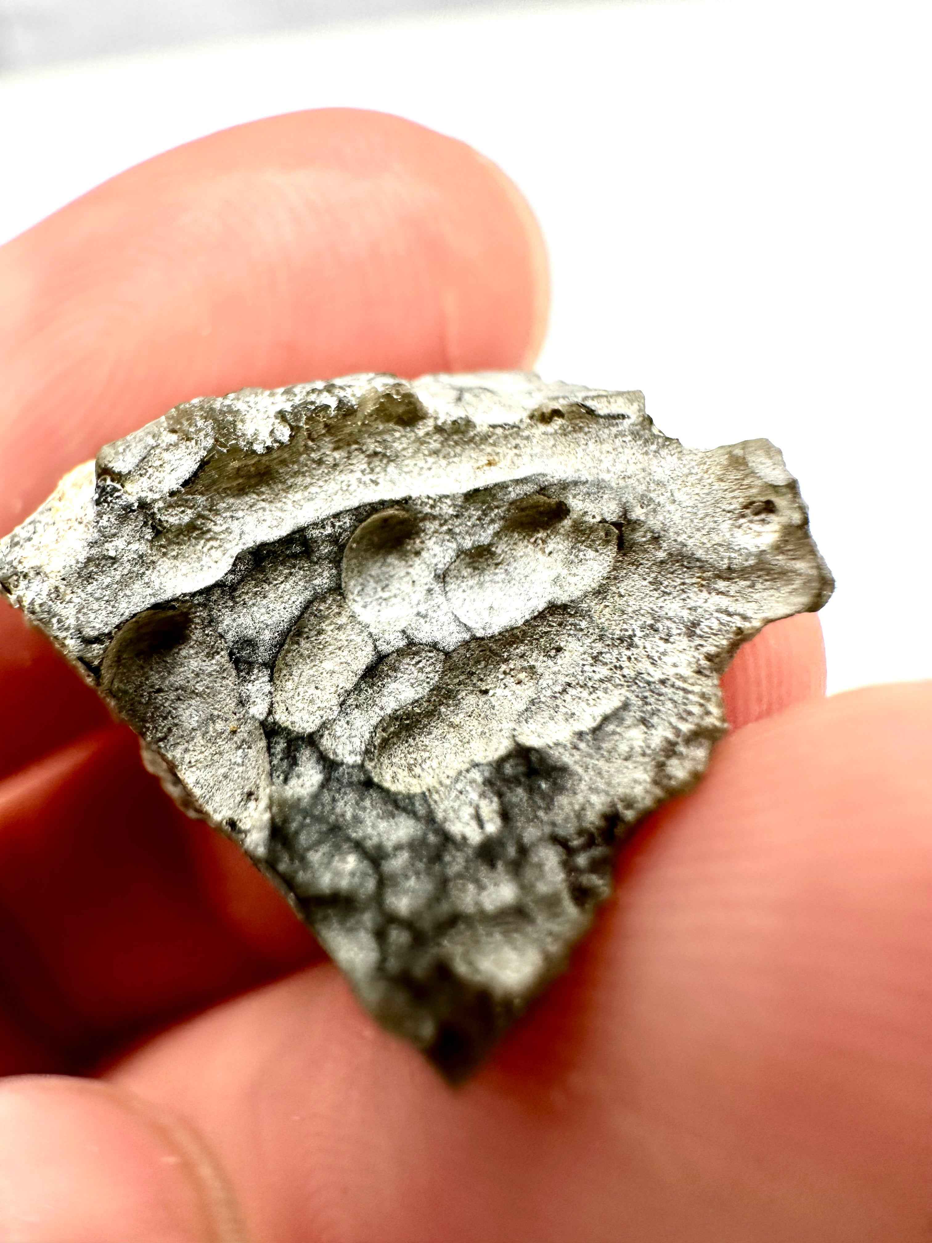 Moldavite – Brusna – 1,7g - OVL080